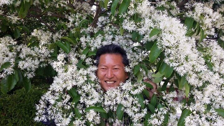 게시글 이미지
