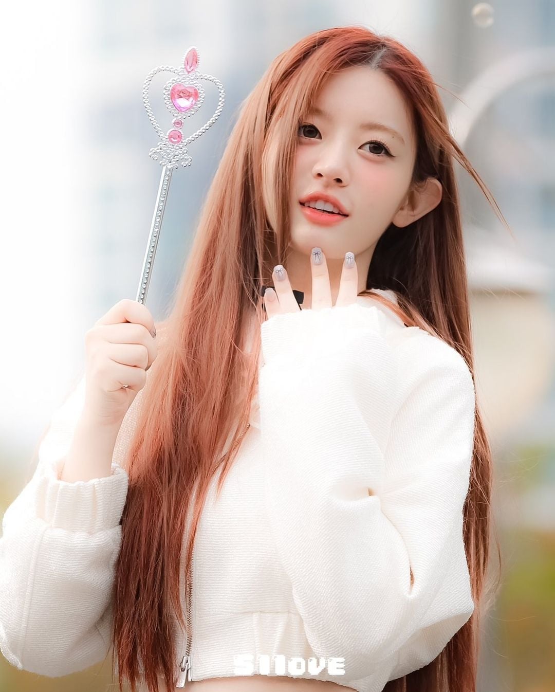 게시글 이미지