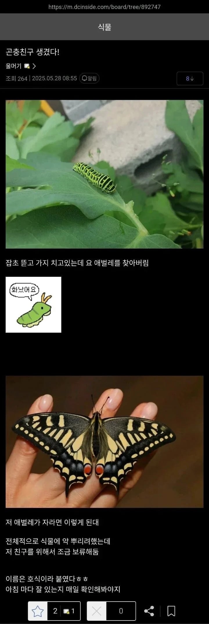 게시글 이미지