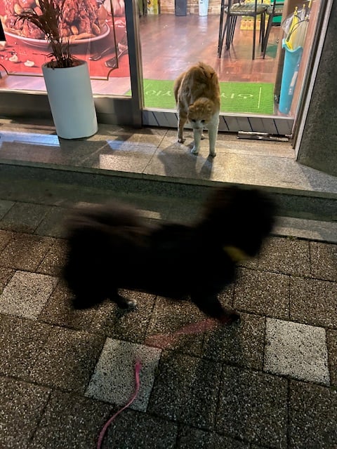 게시글 이미지