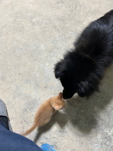 게시글 이미지