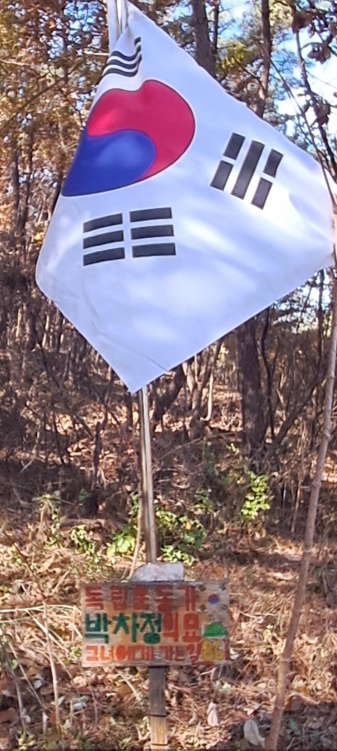 게시글 이미지