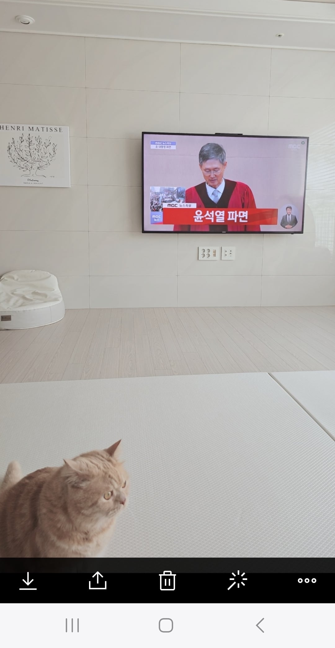 게시글 이미지