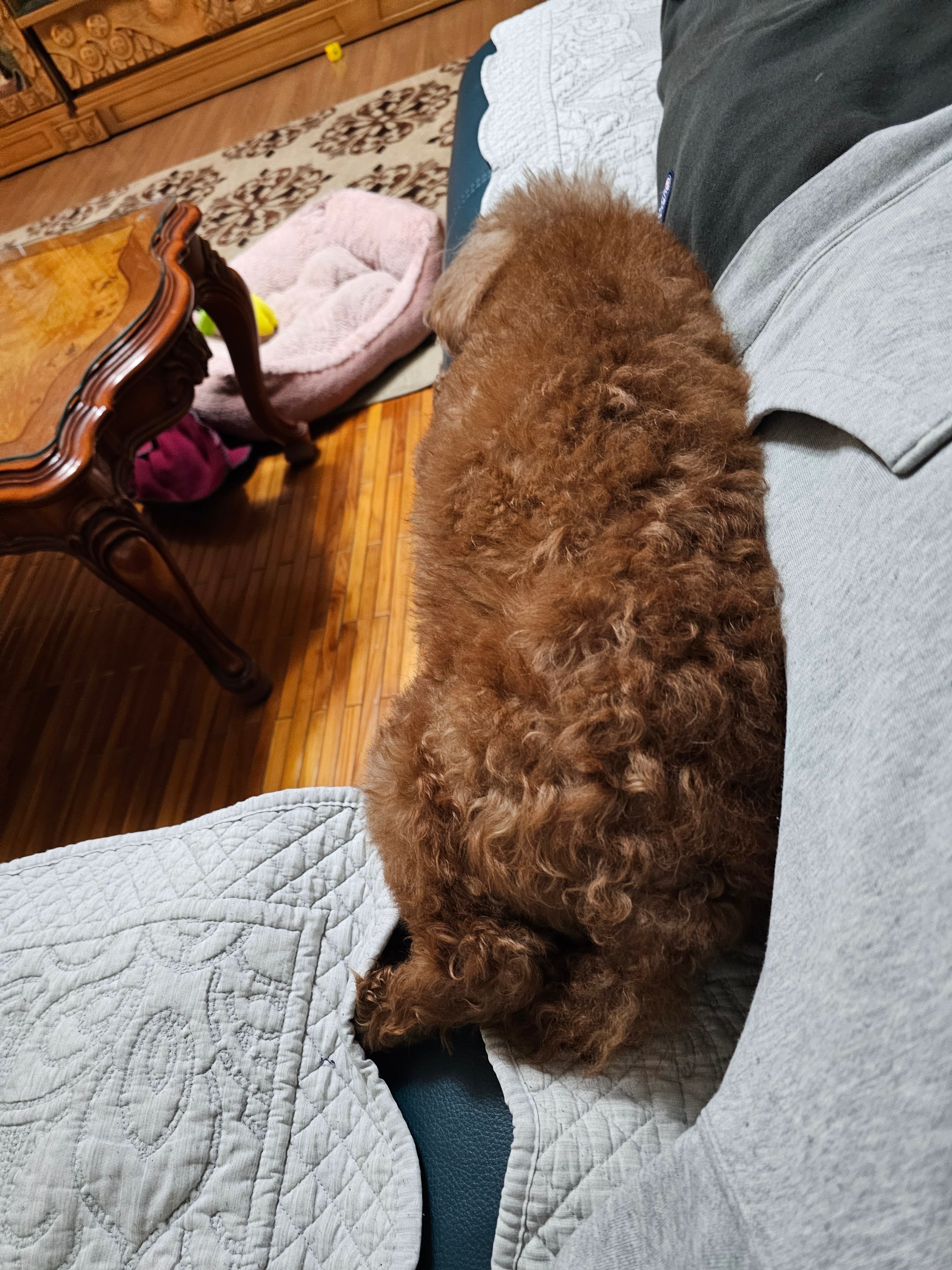 게시글 이미지