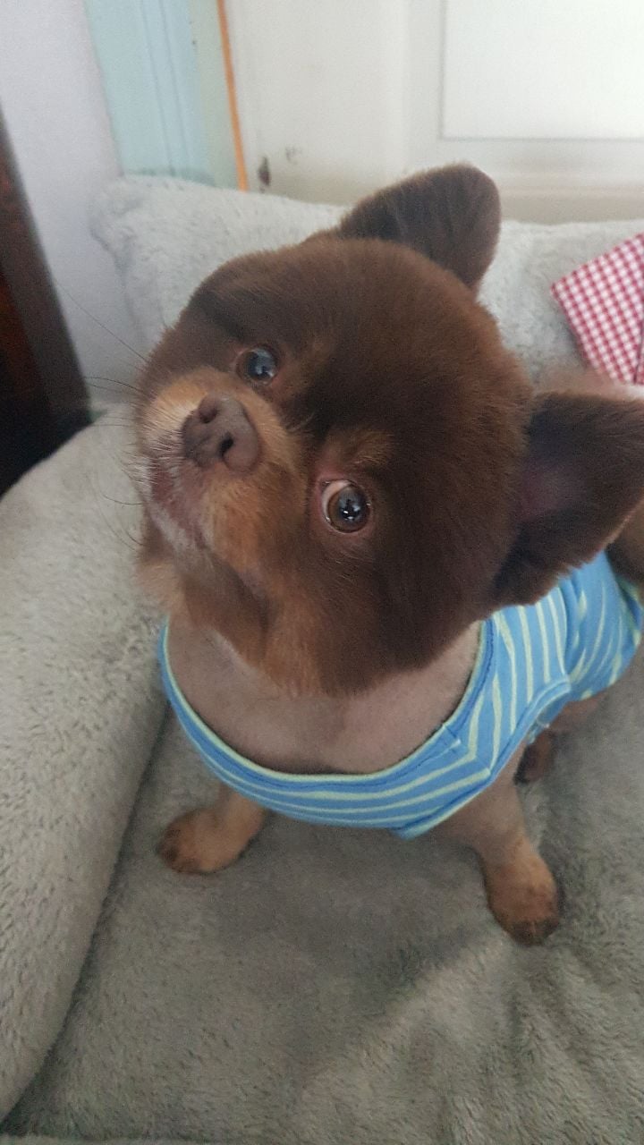 게시글 이미지
