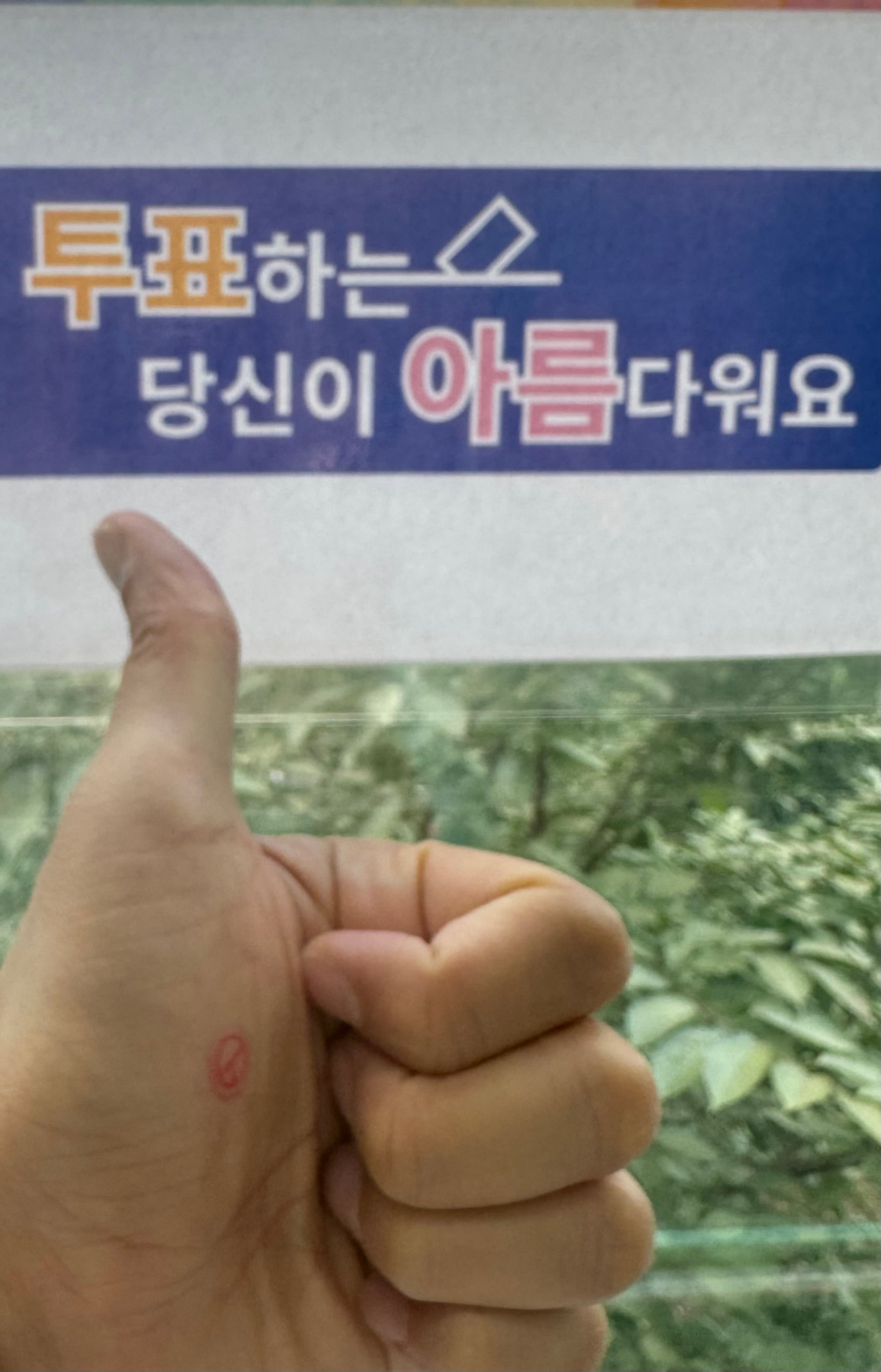 게시글 이미지