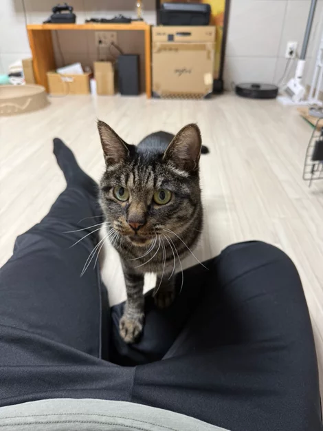 게시글 이미지