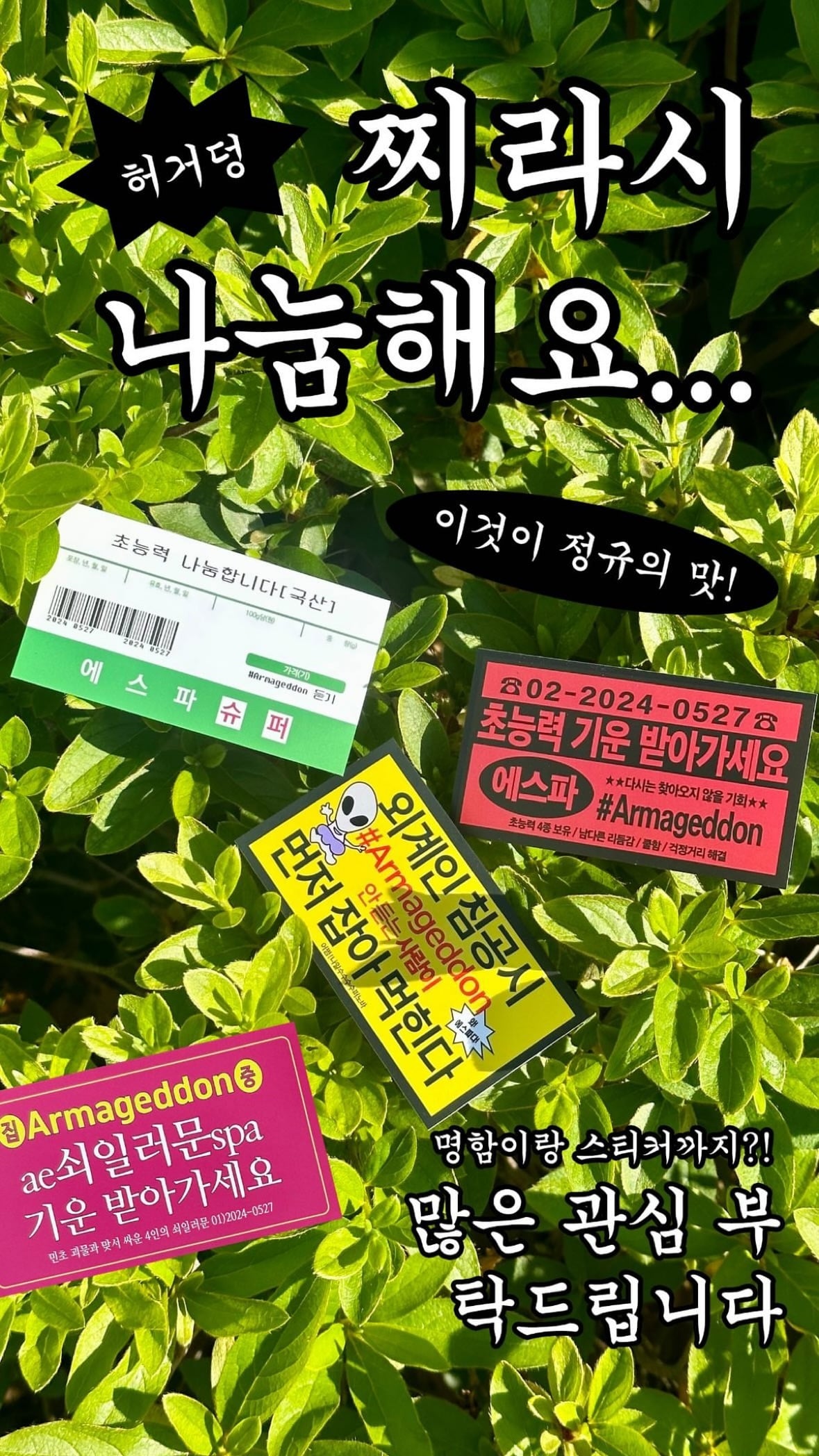 게시글 이미지