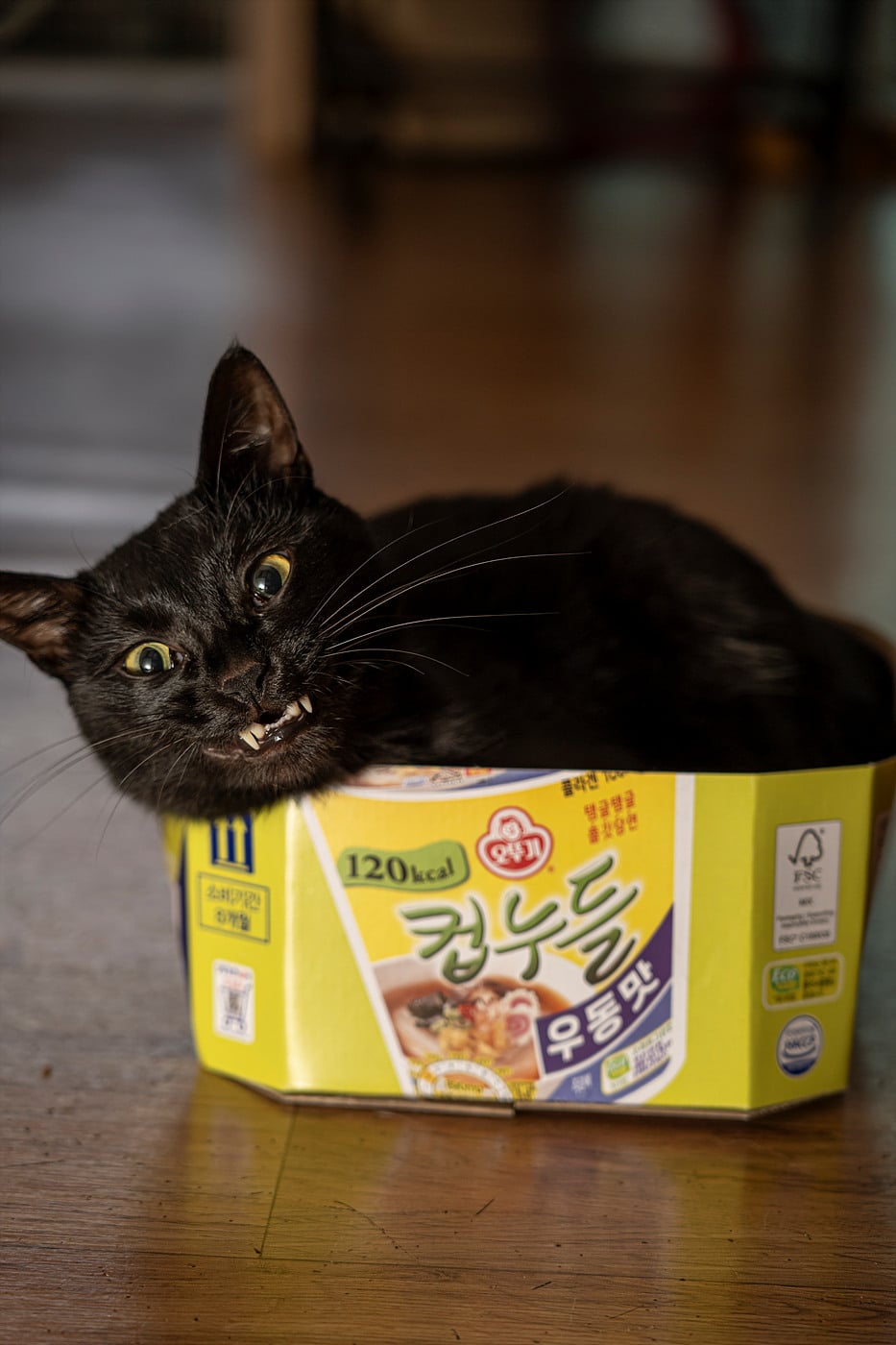 게시글 이미지