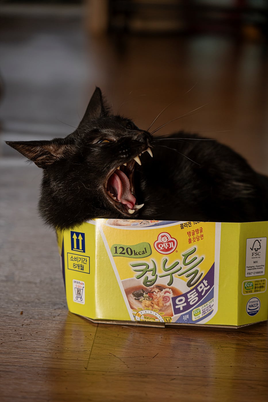 게시글 이미지