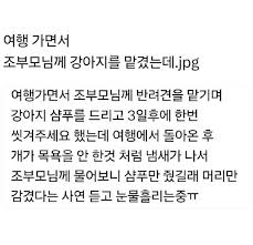 게시글 이미지