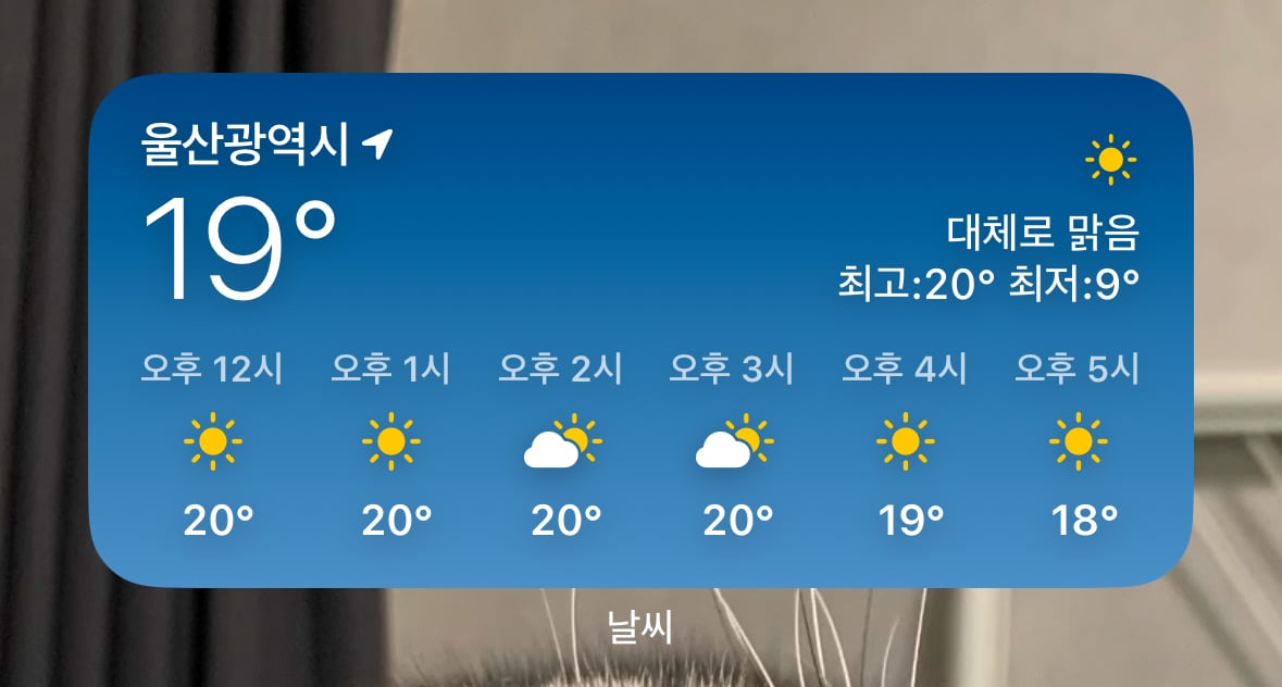 게시글 이미지