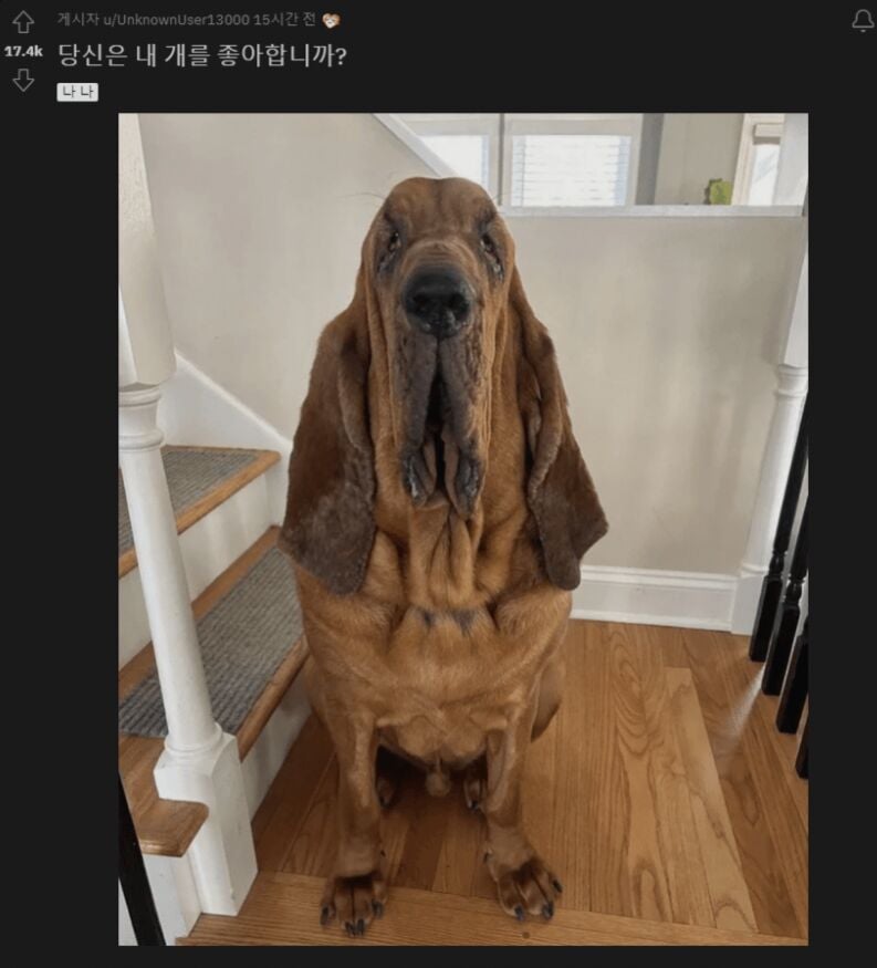 게시글 이미지