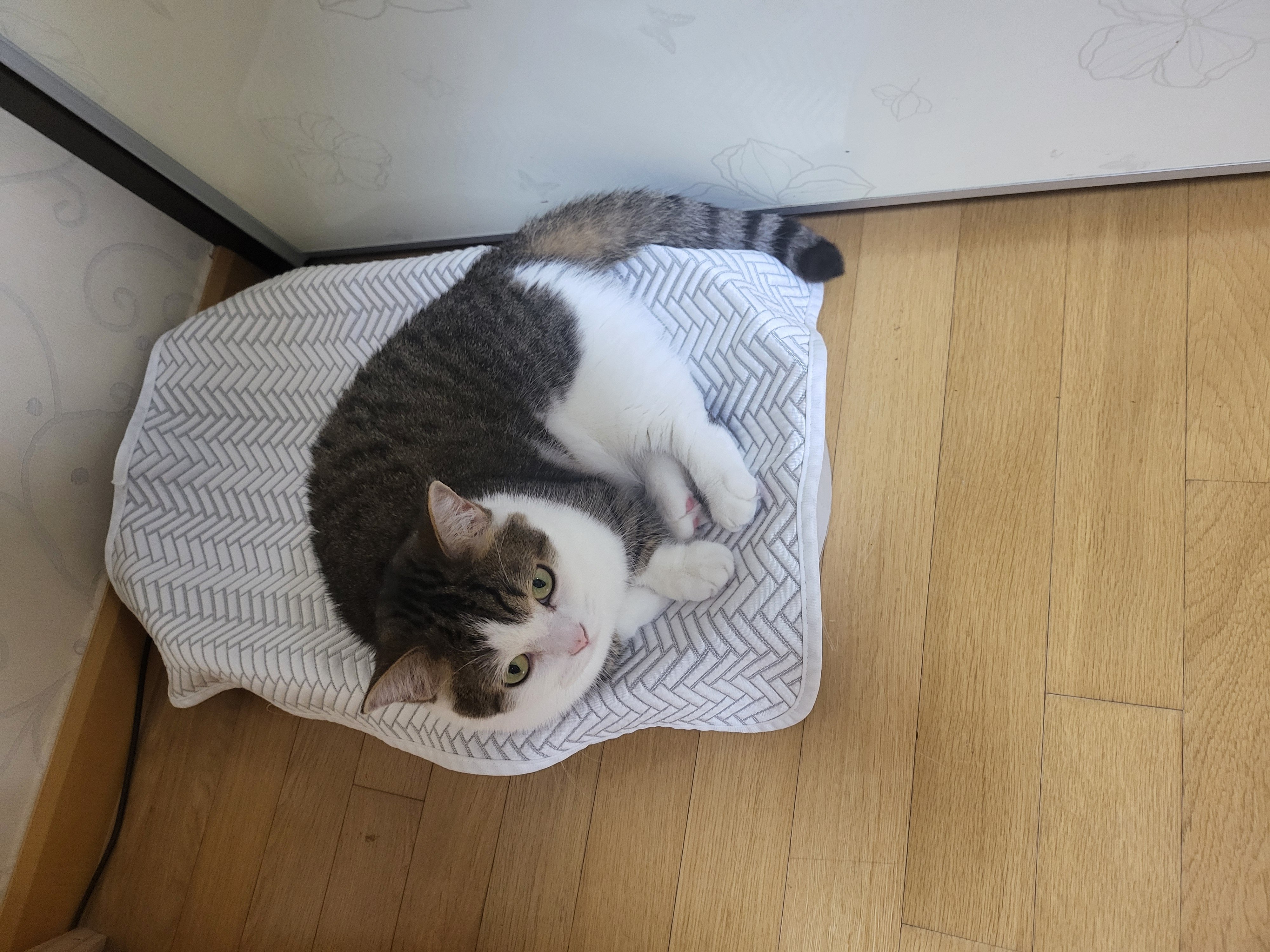 게시글 이미지