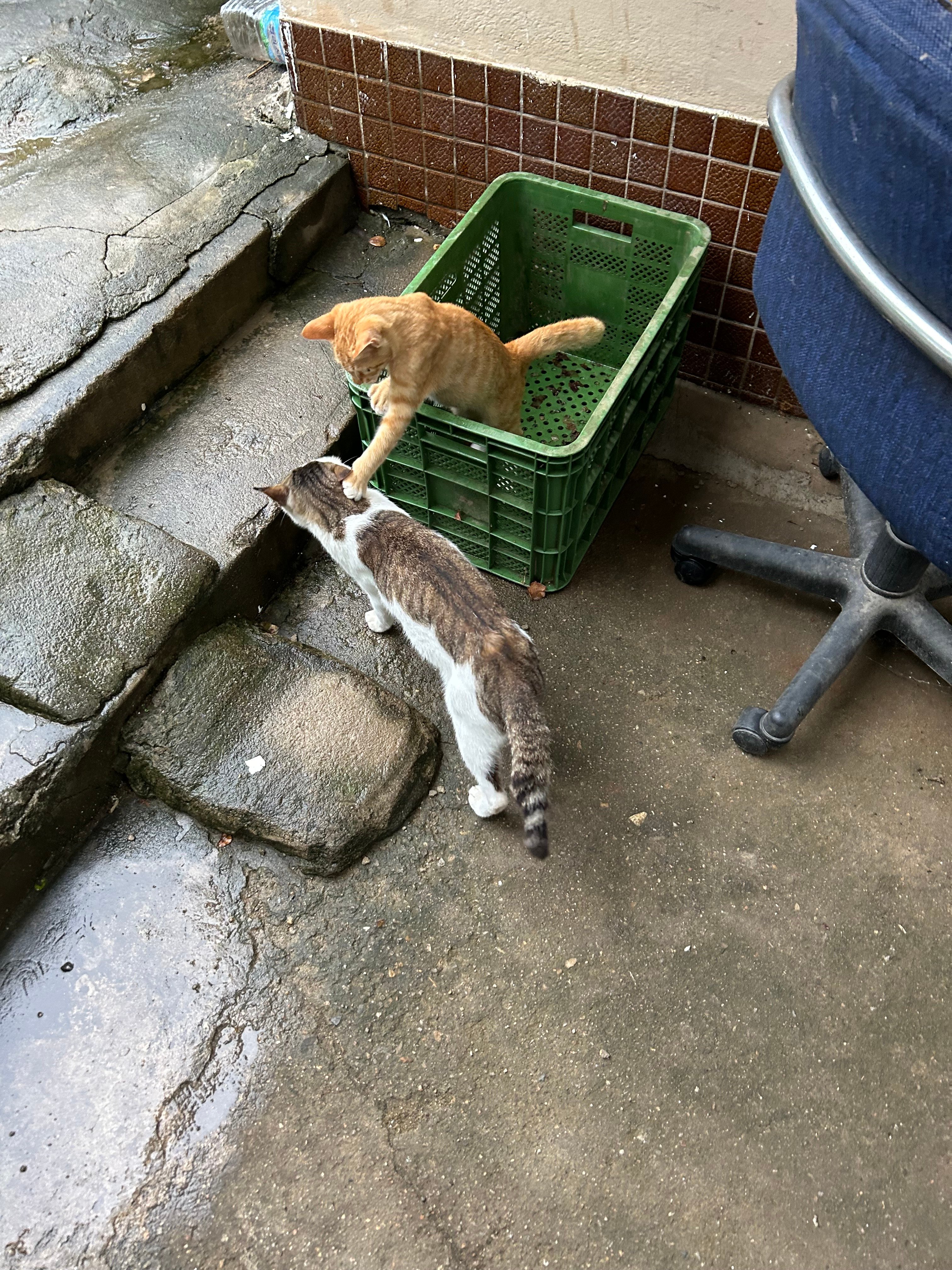게시글 이미지