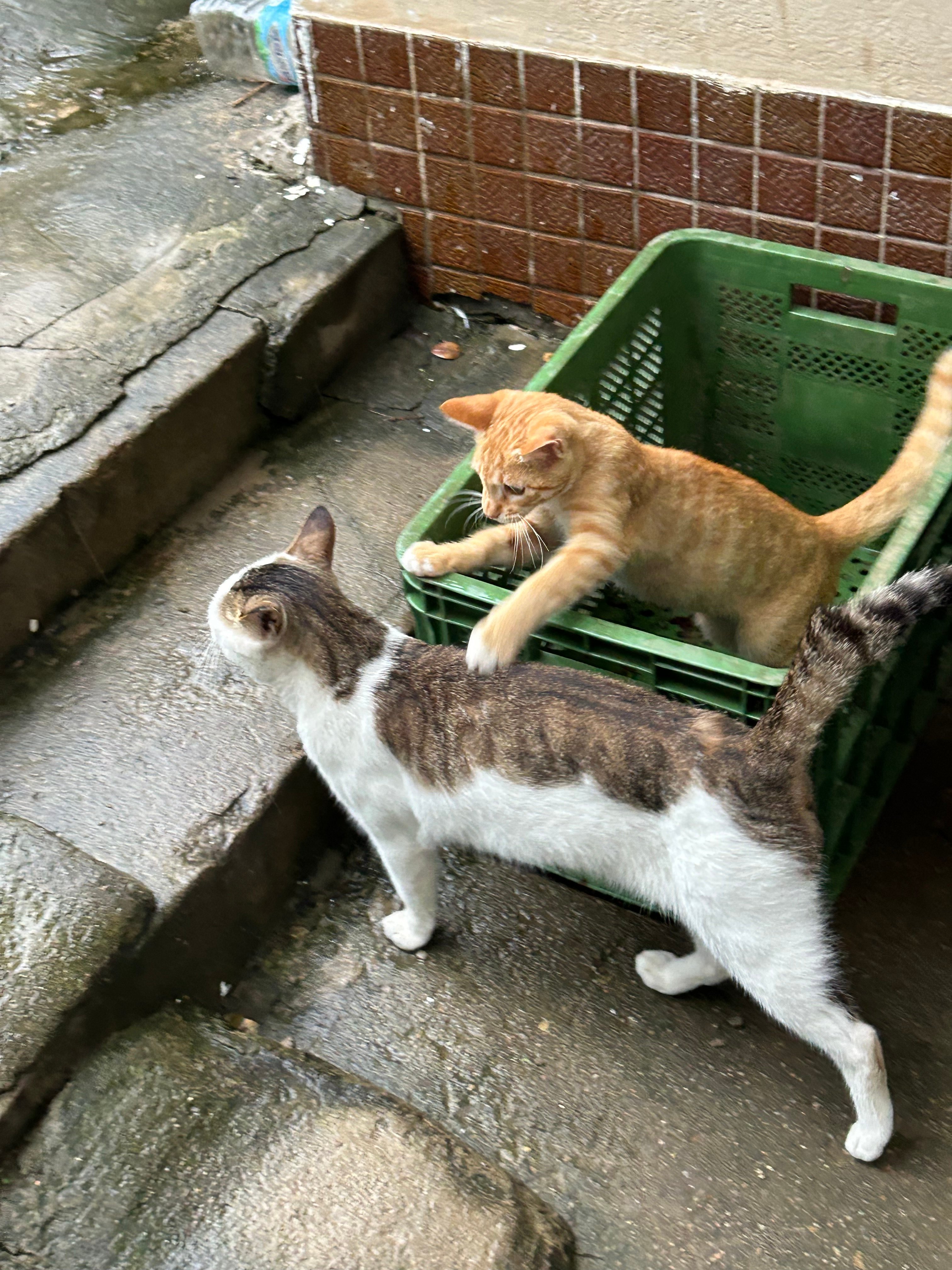게시글 이미지