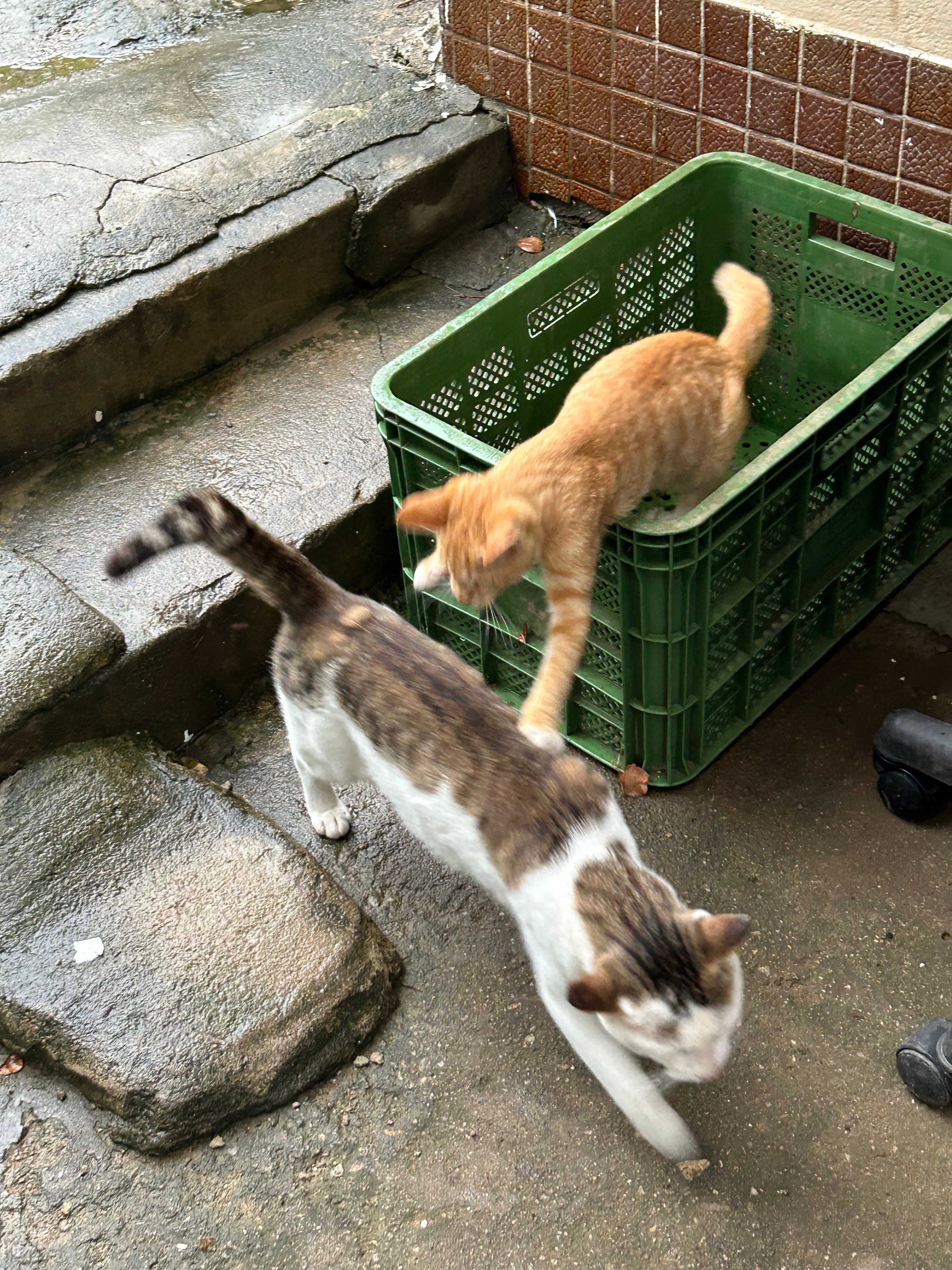 게시글 이미지