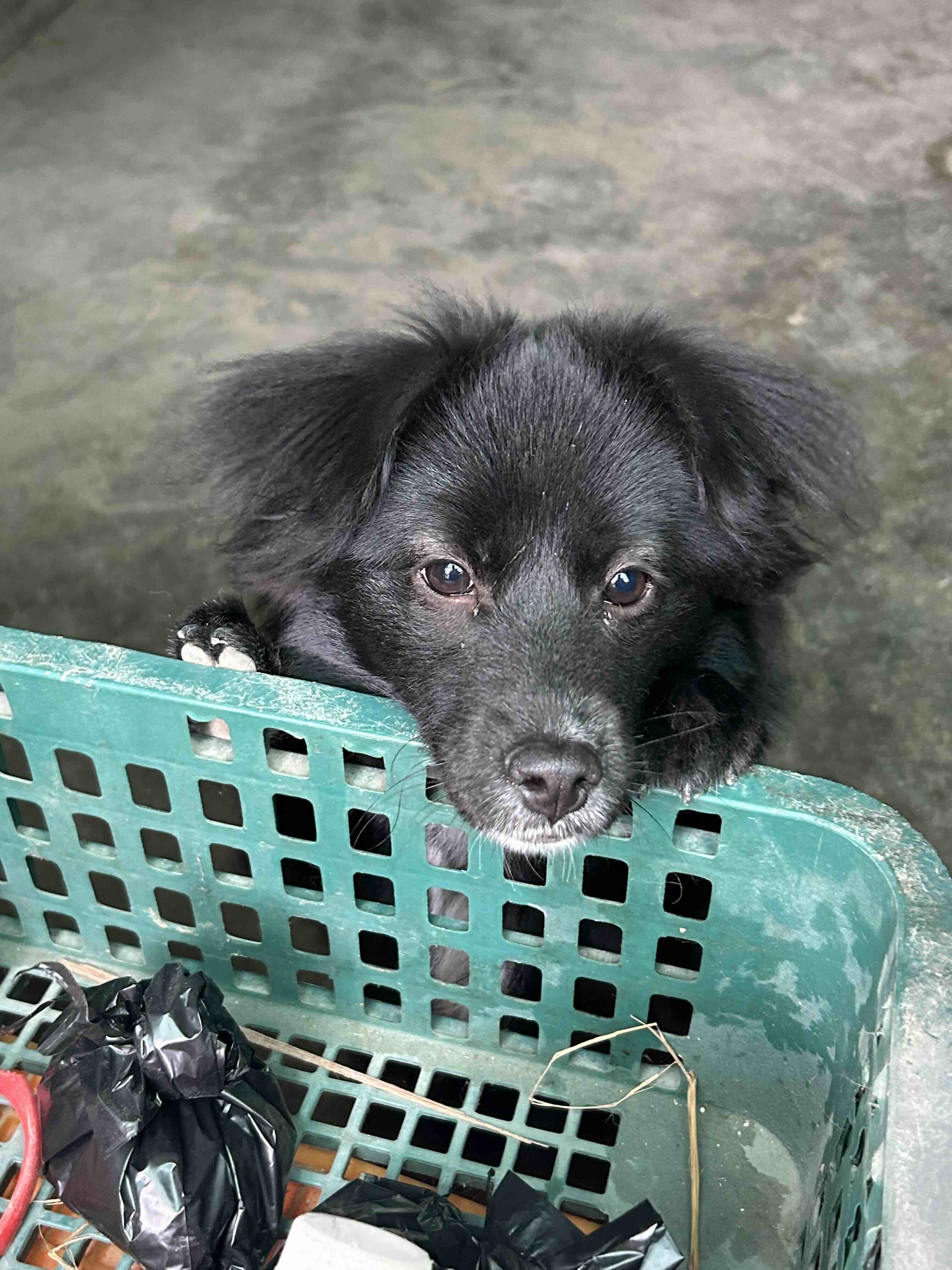 게시글 이미지
