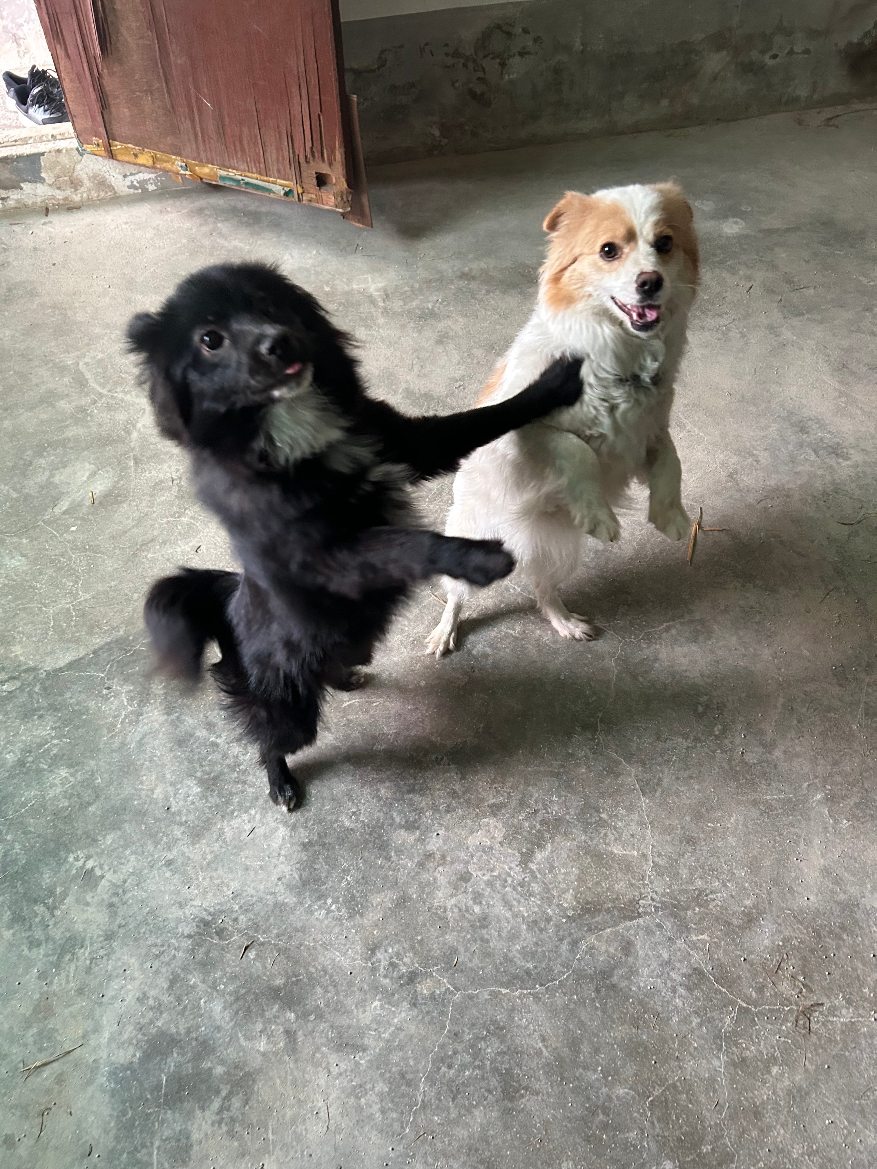 게시글 이미지