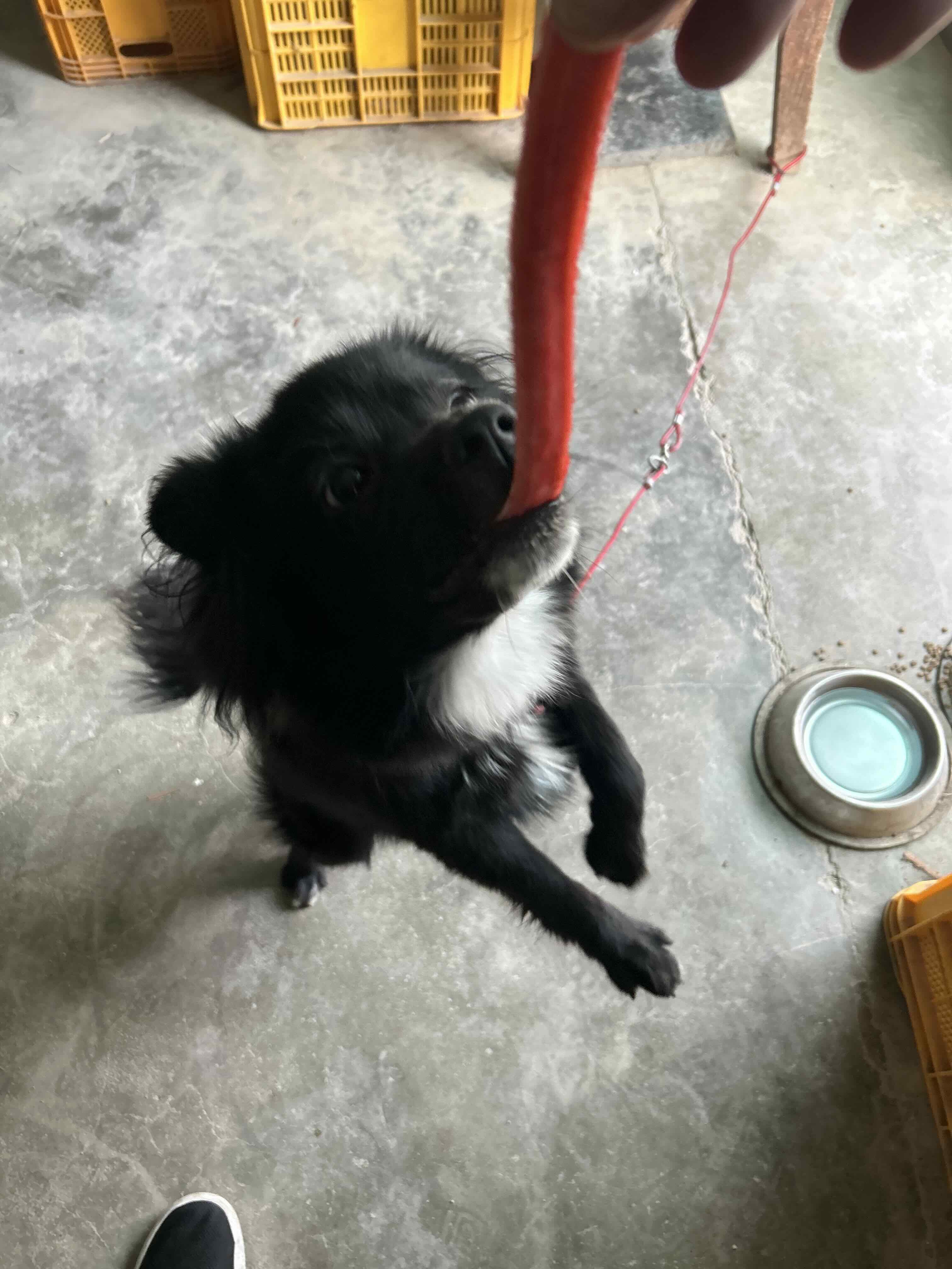 게시글 이미지
