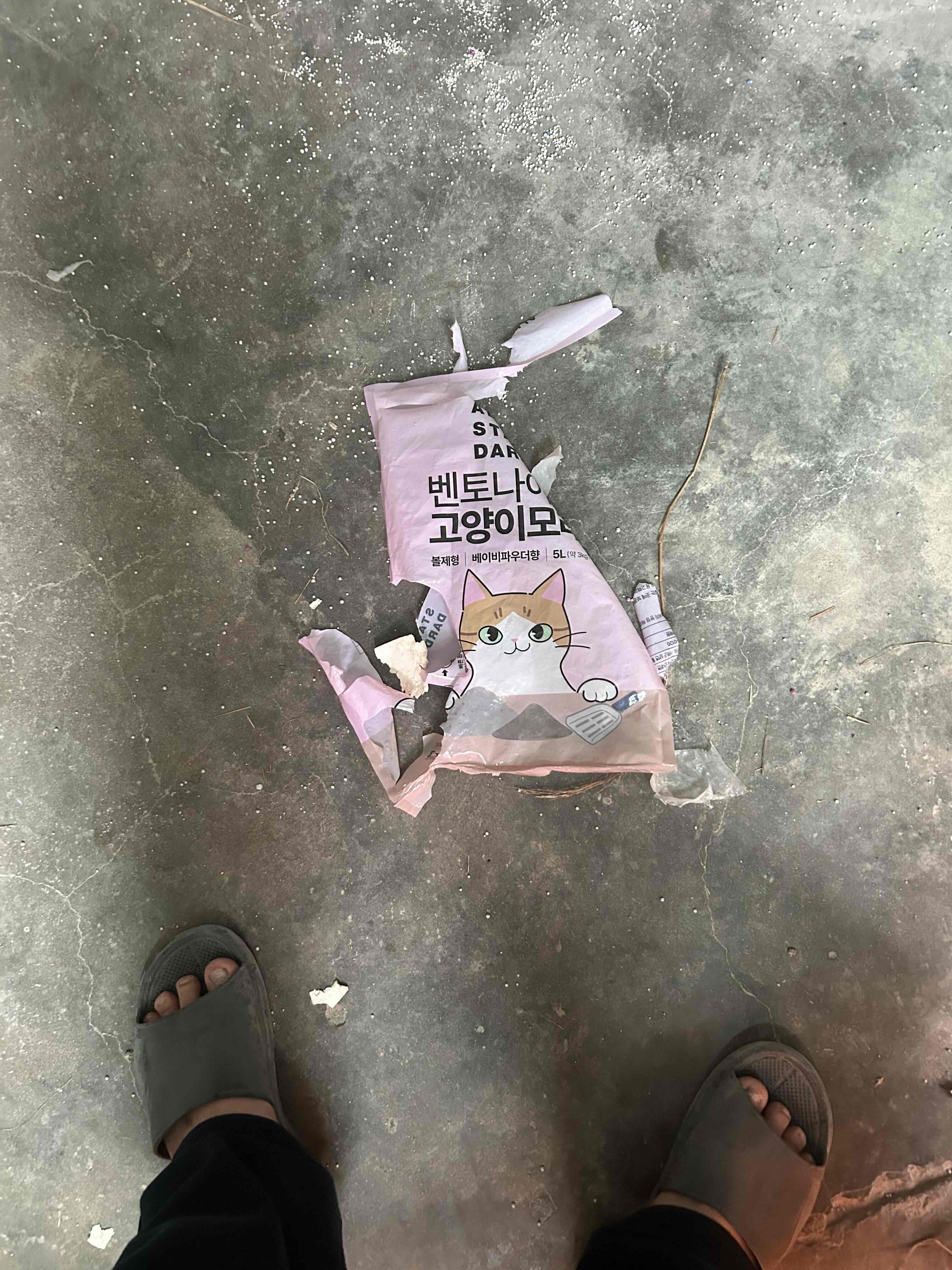 게시글 이미지