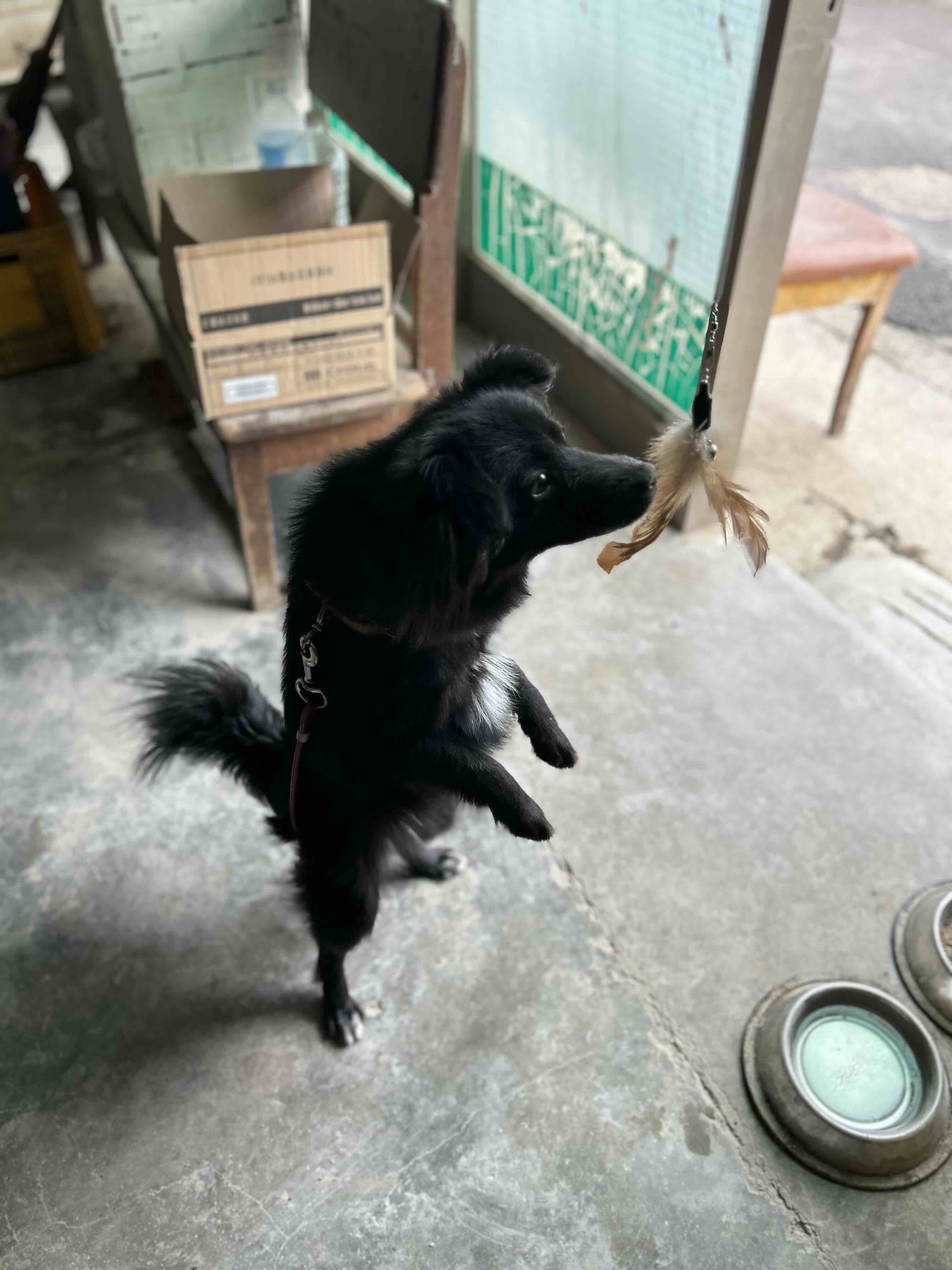 게시글 이미지