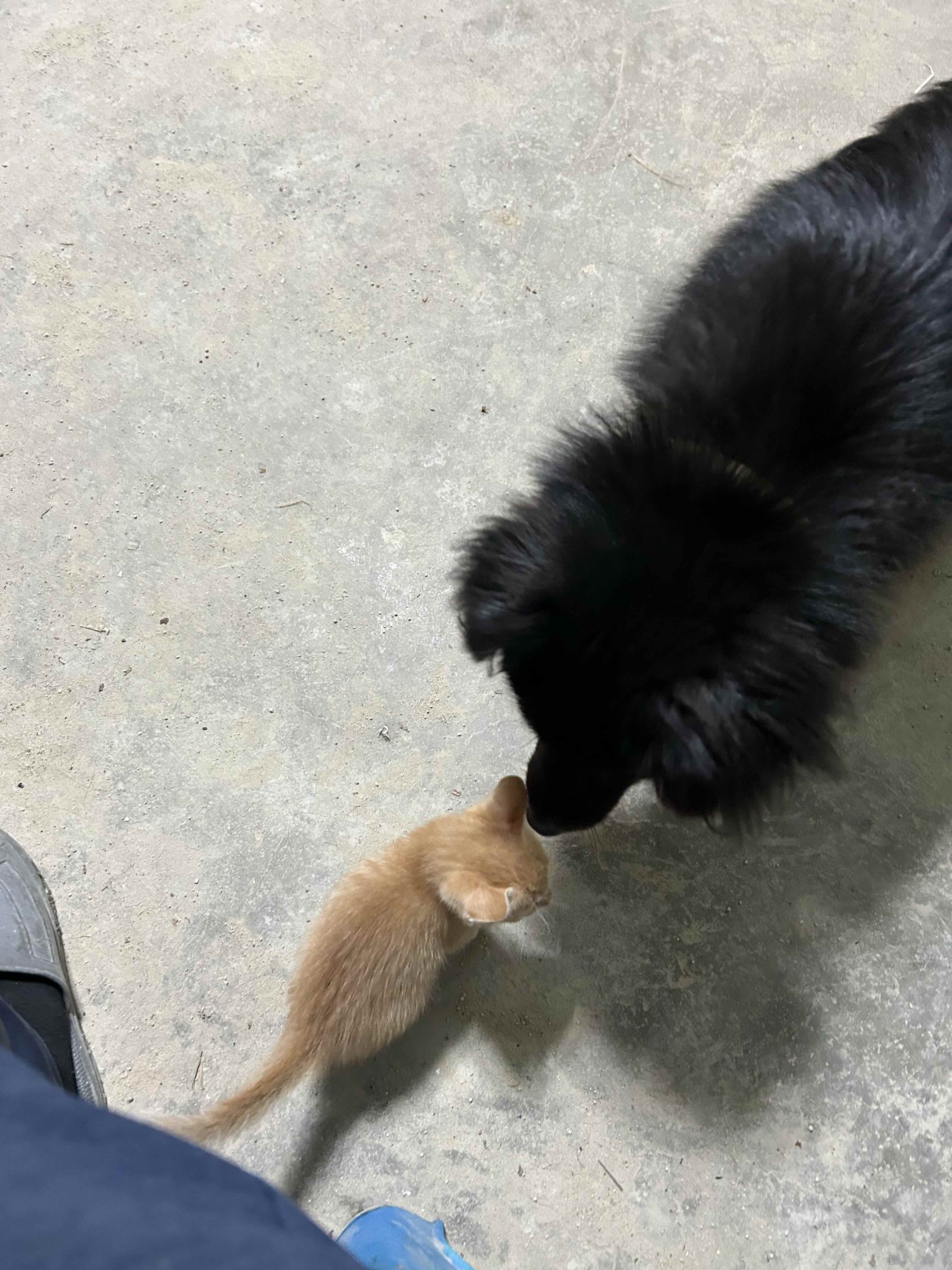 게시글 이미지