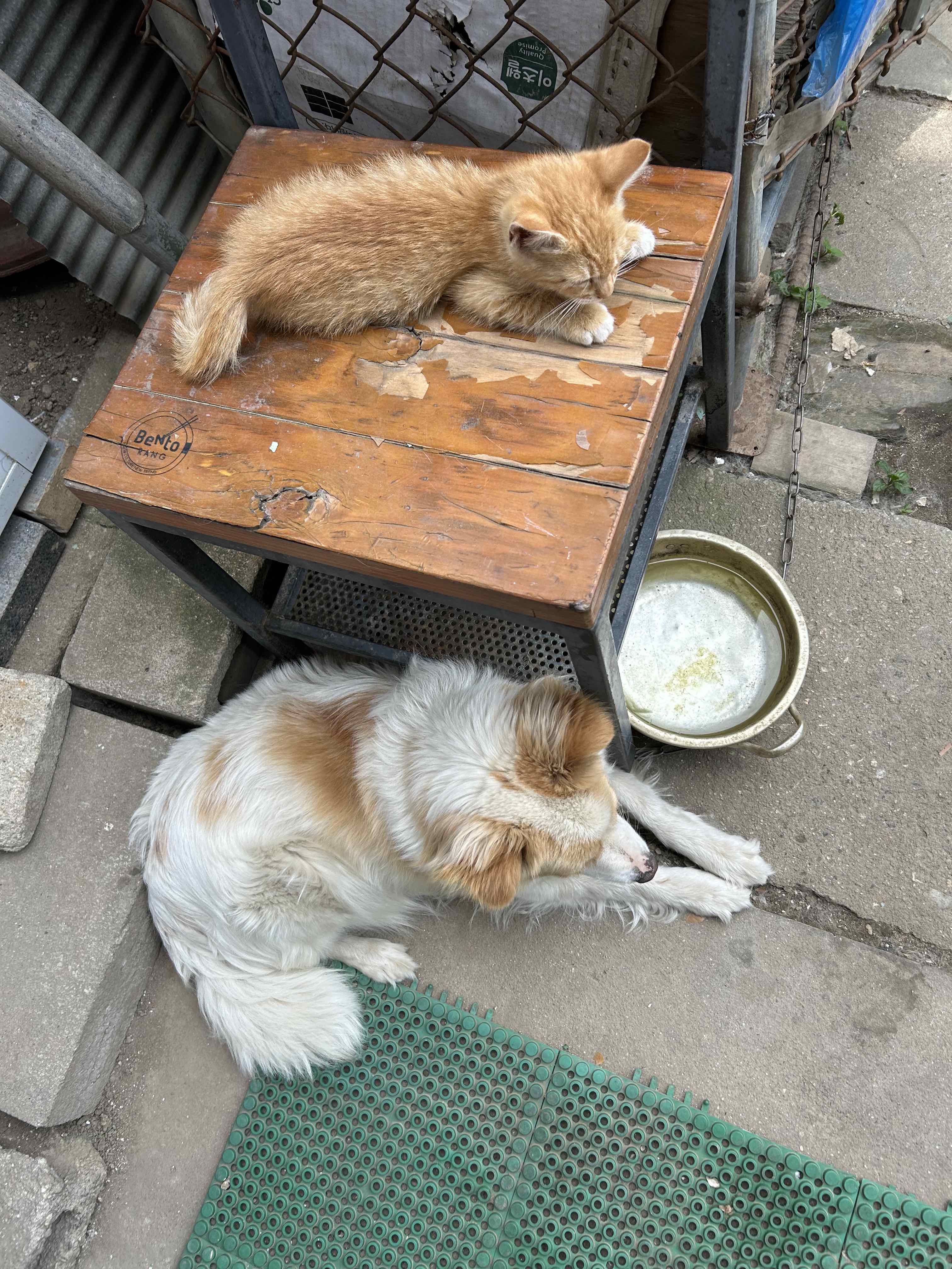 게시글 이미지