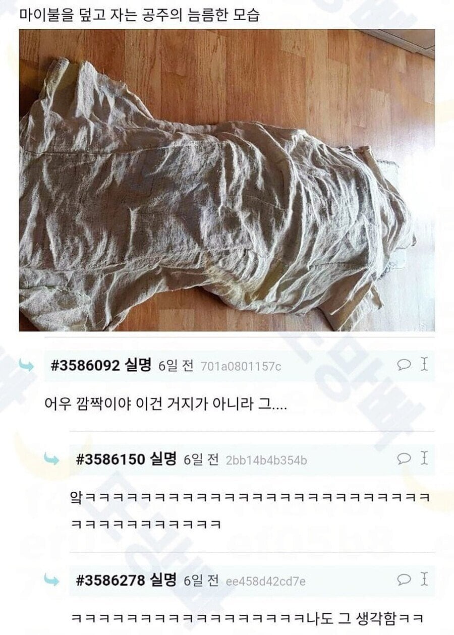 게시글 이미지