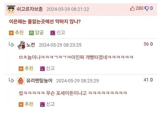 게시글 이미지
