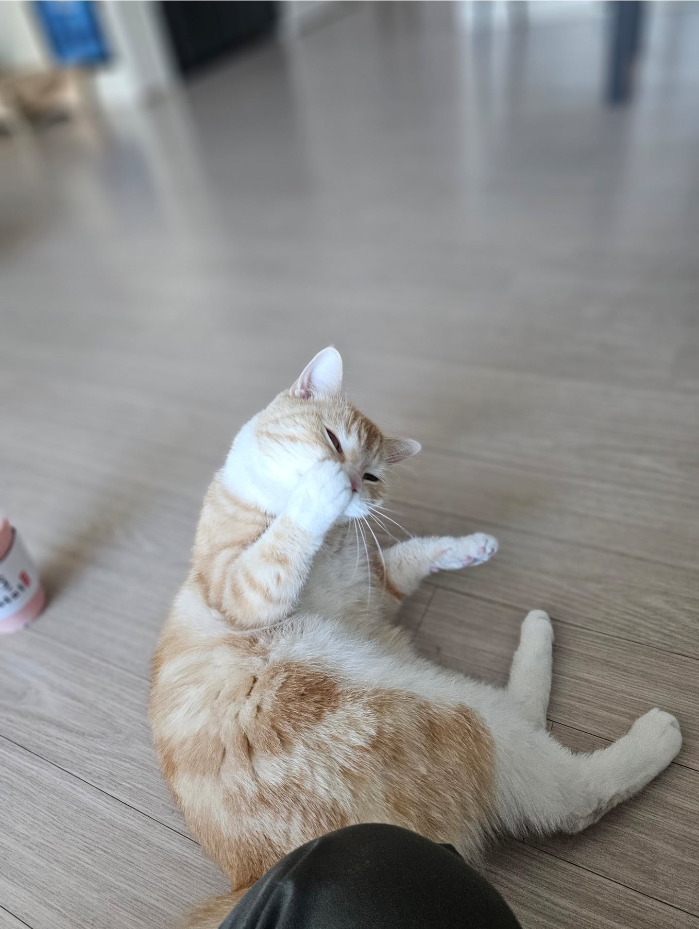 게시글 이미지