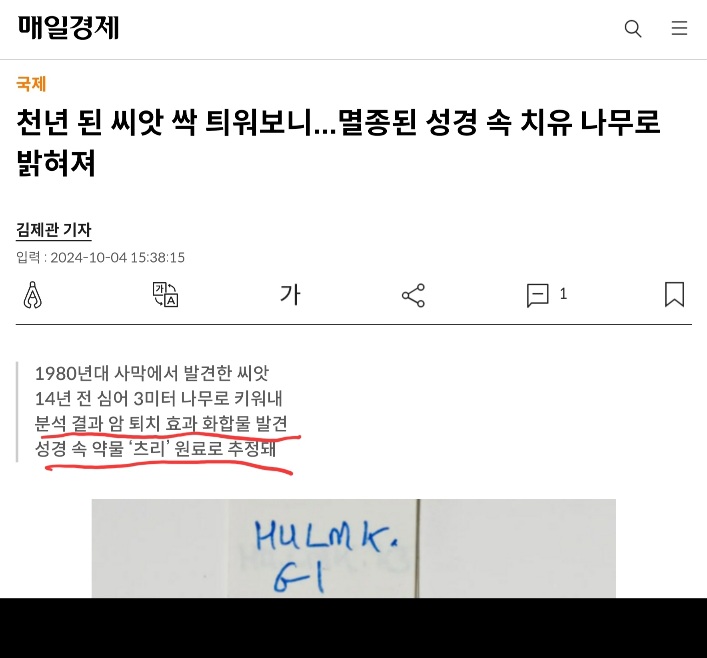 게시글 이미지