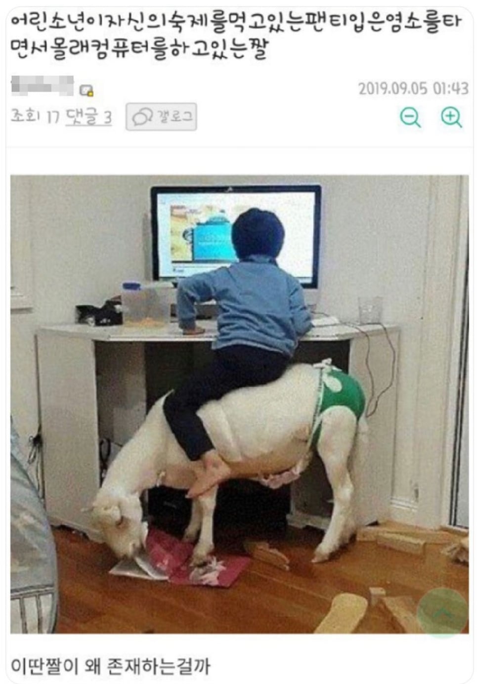 게시글 이미지