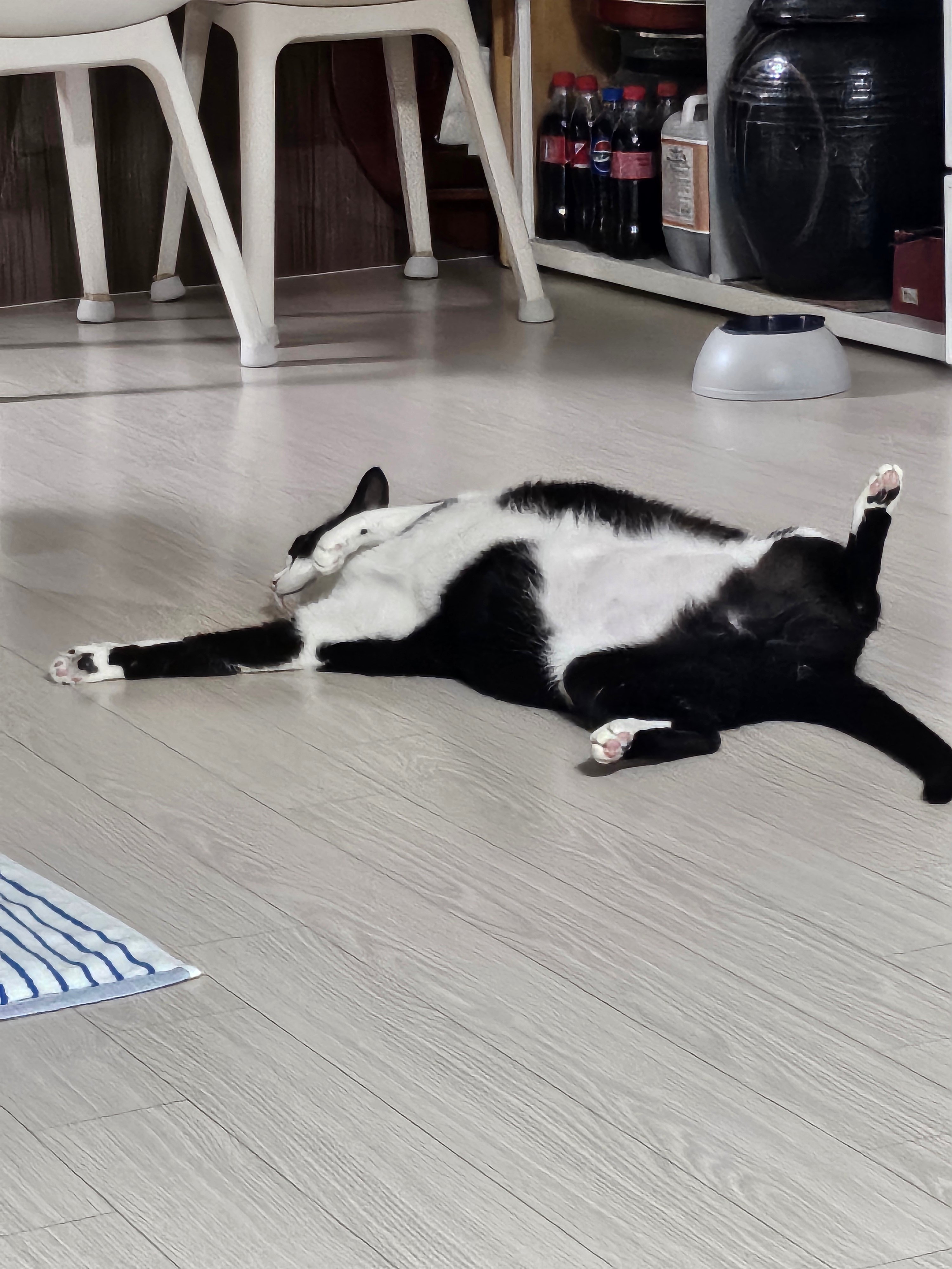 게시글 이미지