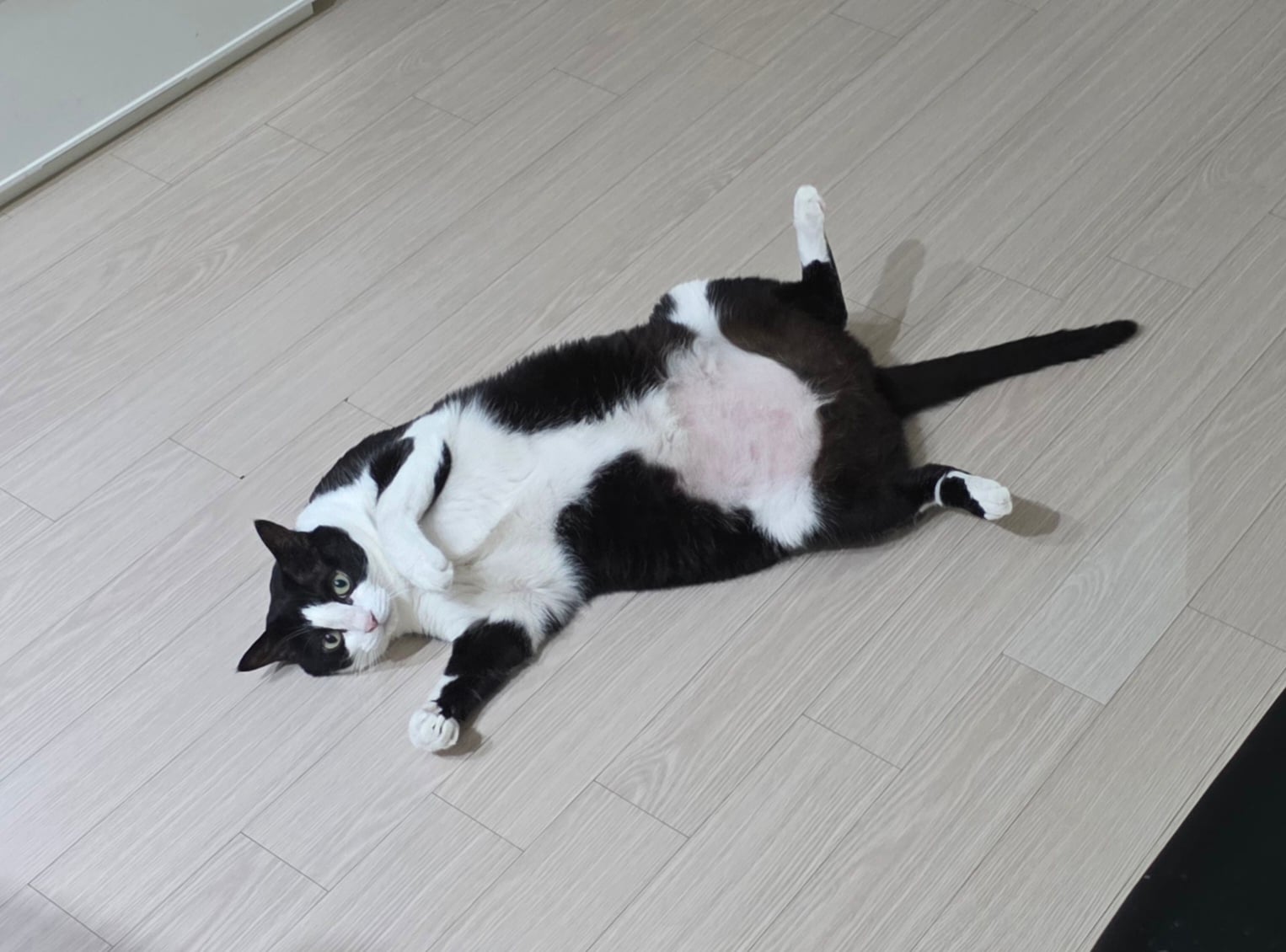 게시글 이미지