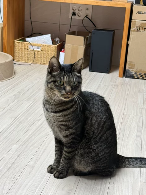 게시글 이미지
