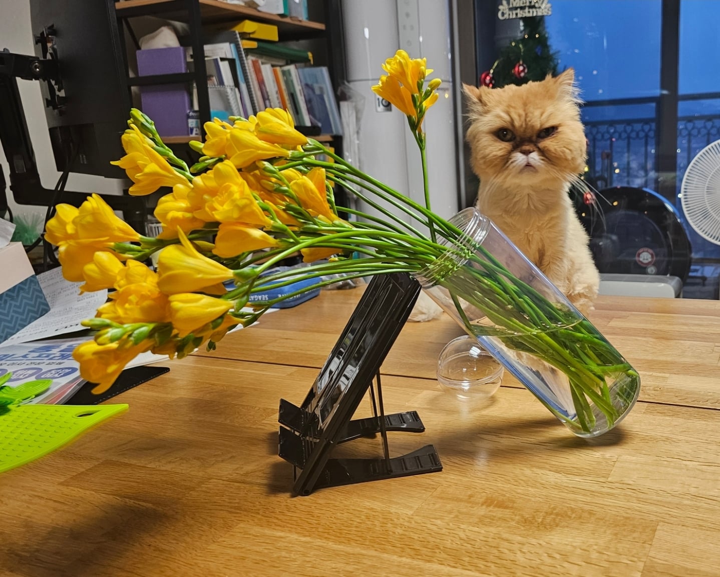 게시글 이미지