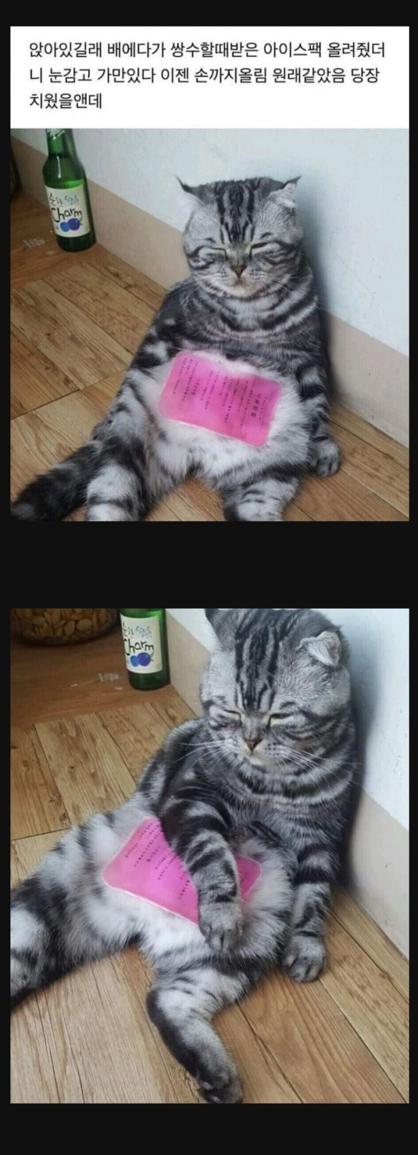 게시글 이미지