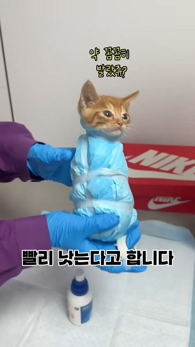 게시글 이미지