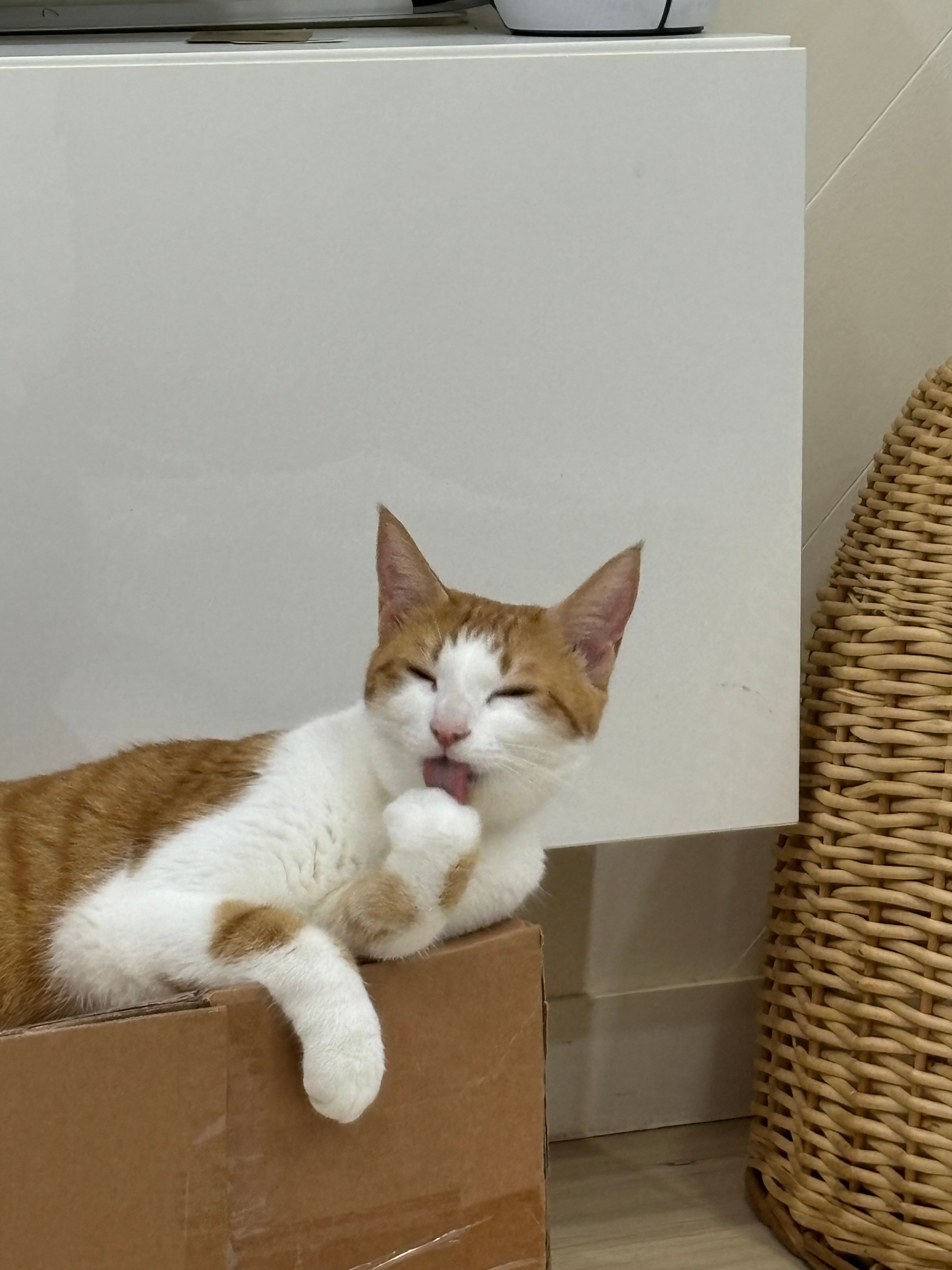 게시글 이미지