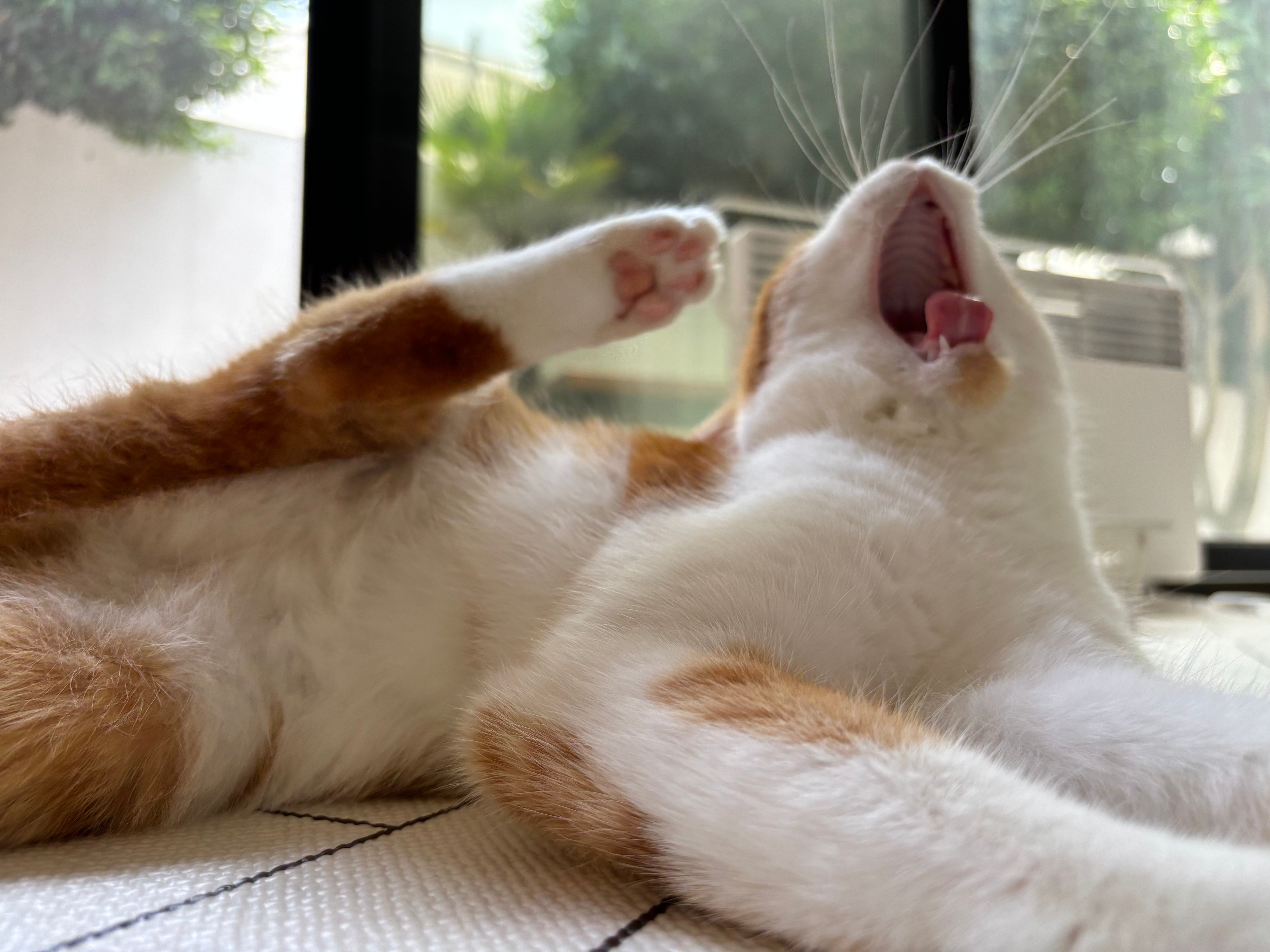 게시글 이미지