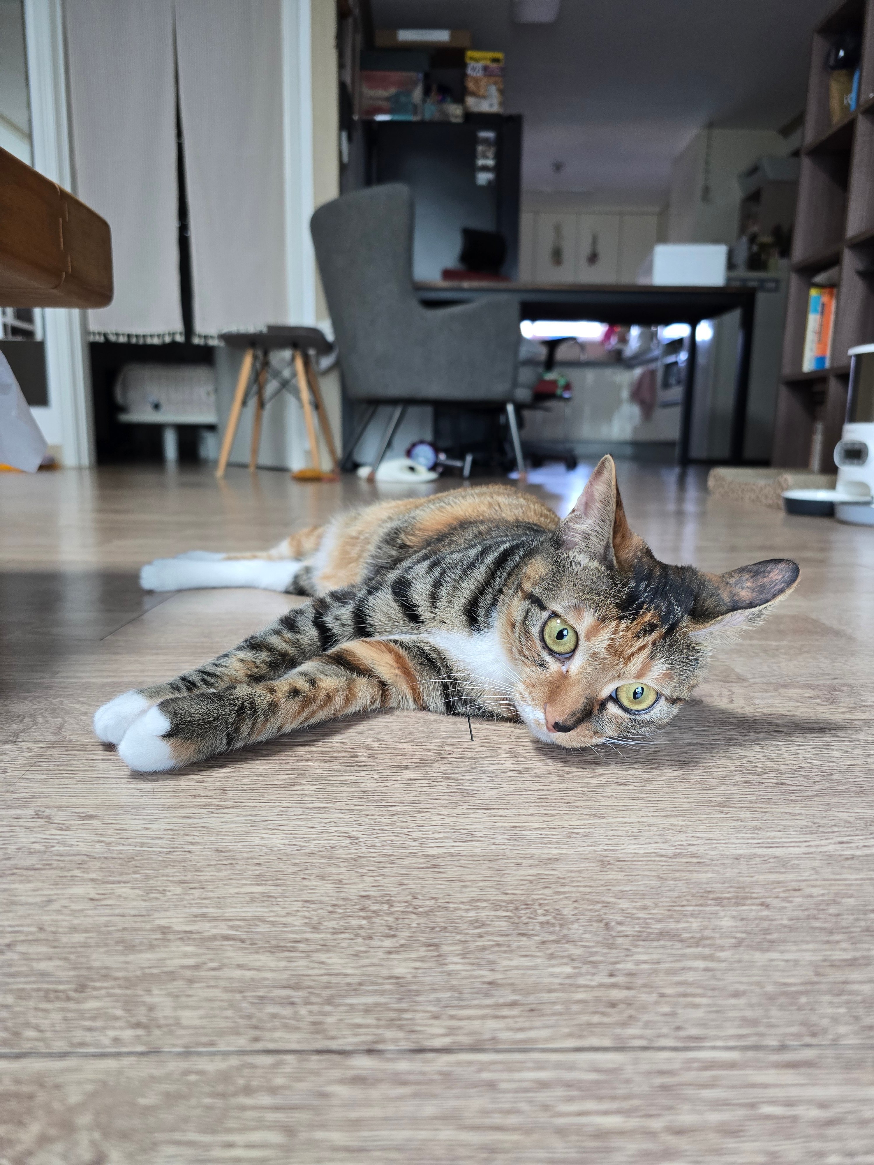 게시글 이미지