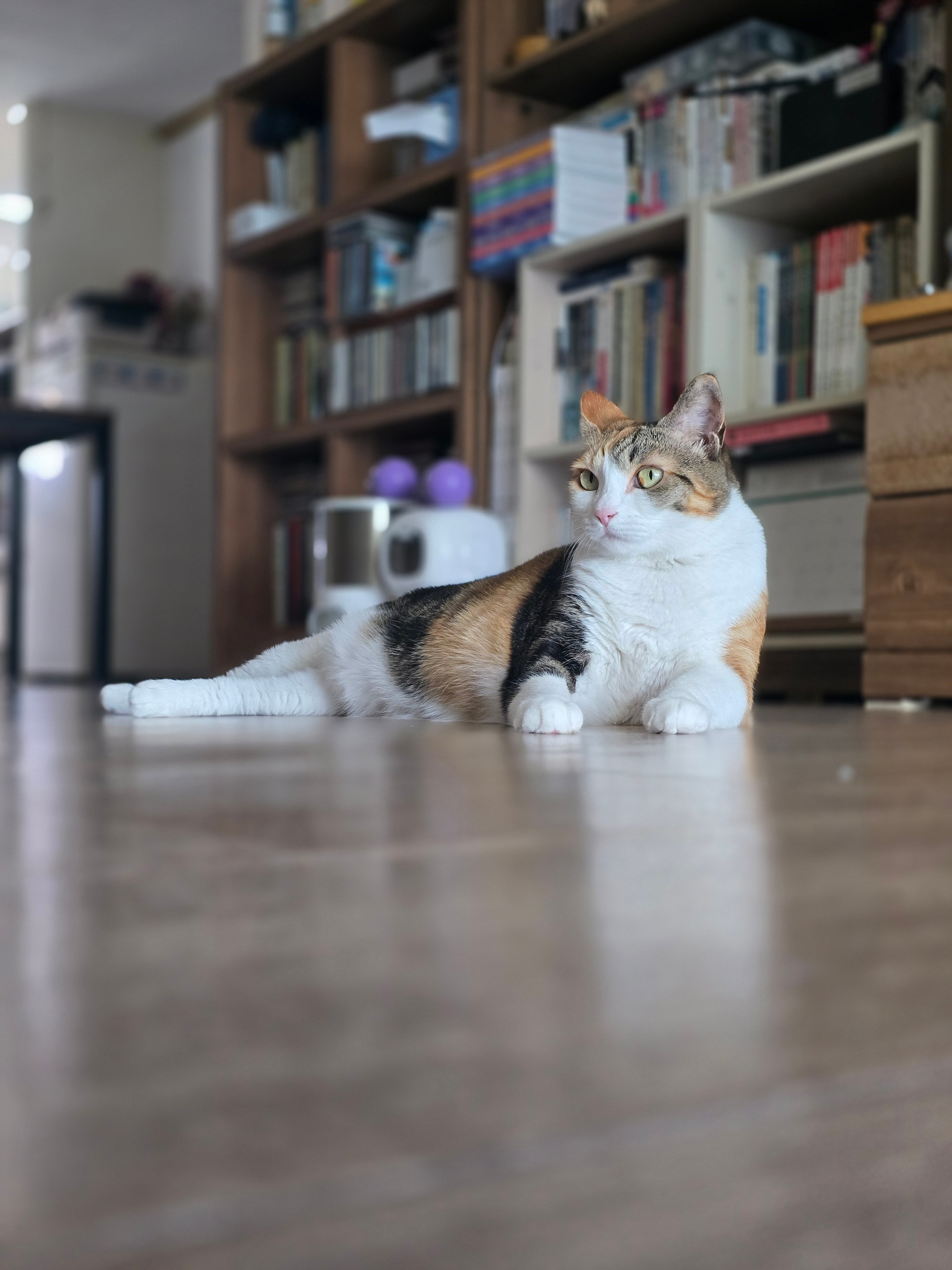 게시글 이미지