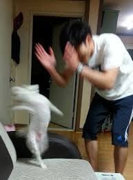 게시글 이미지