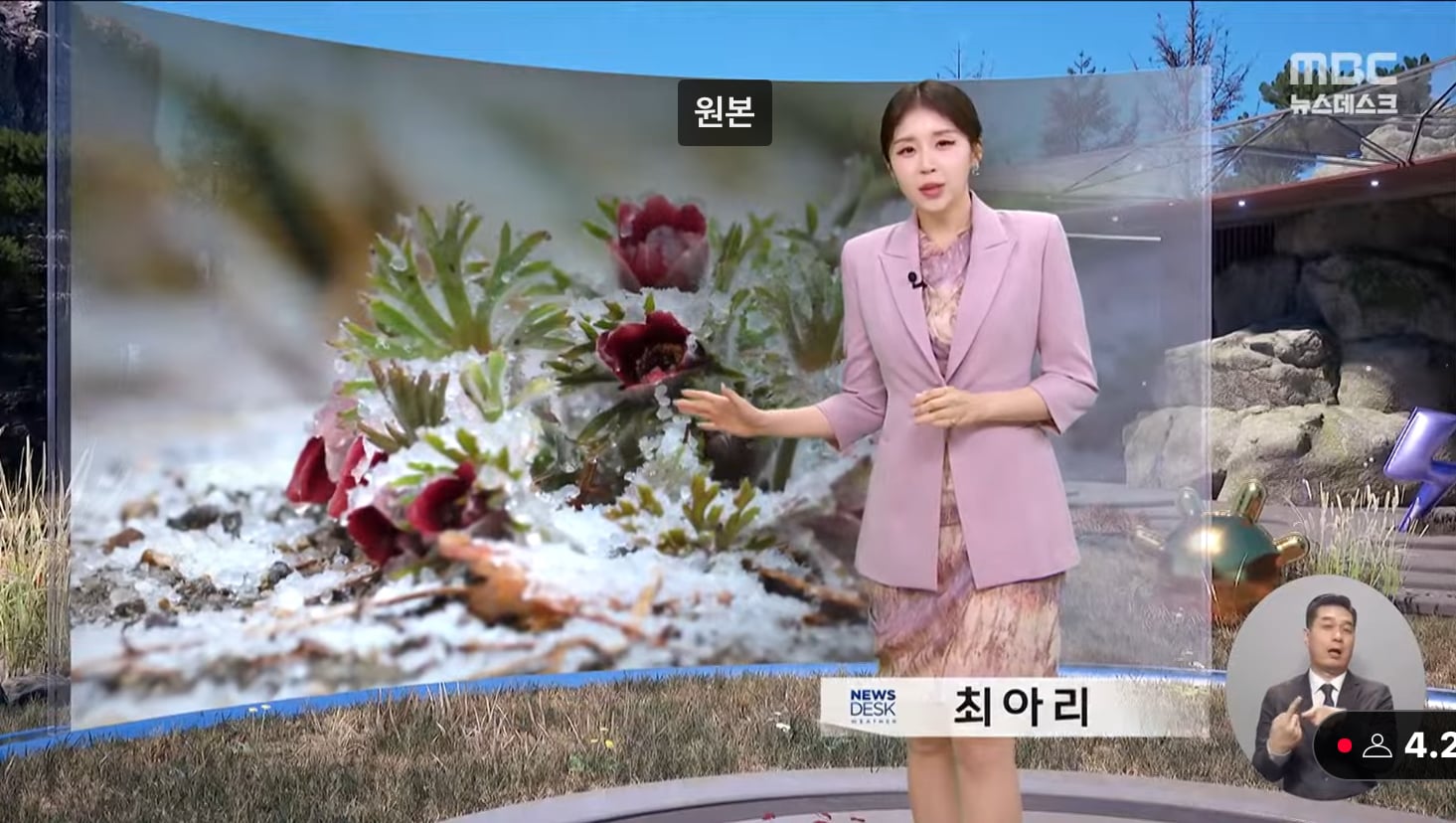 게시글 이미지