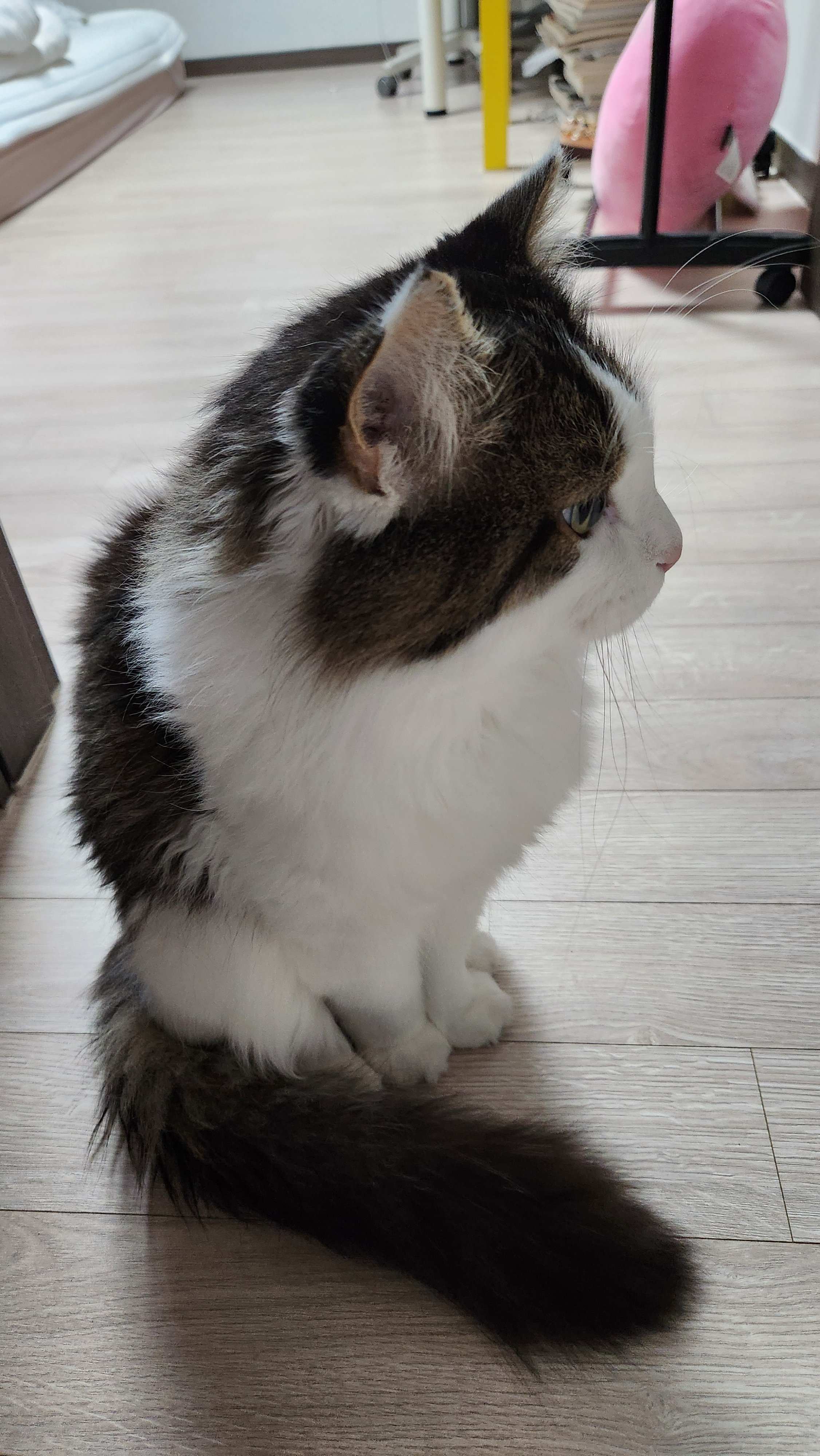 게시글 이미지