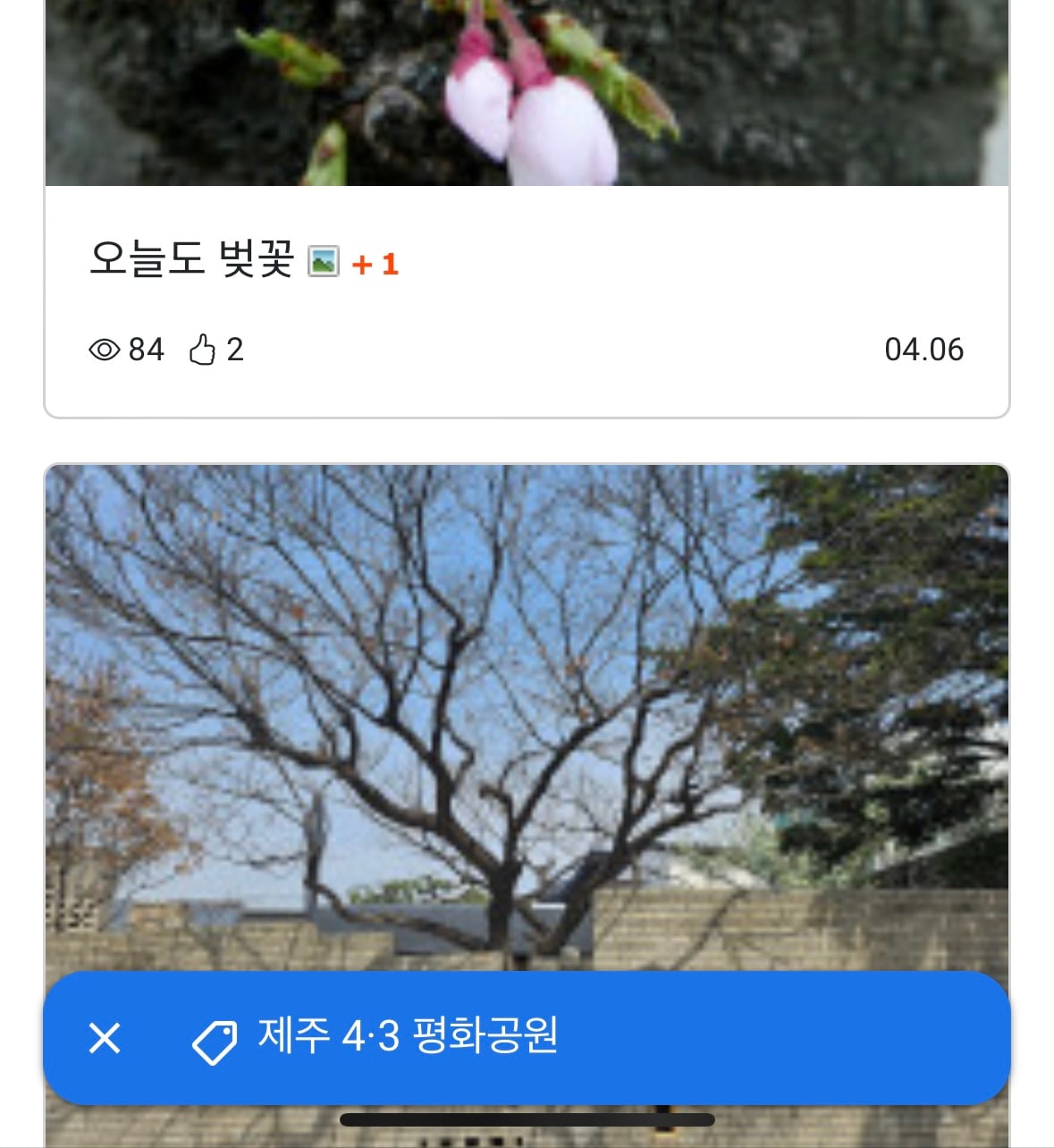 게시글 이미지
