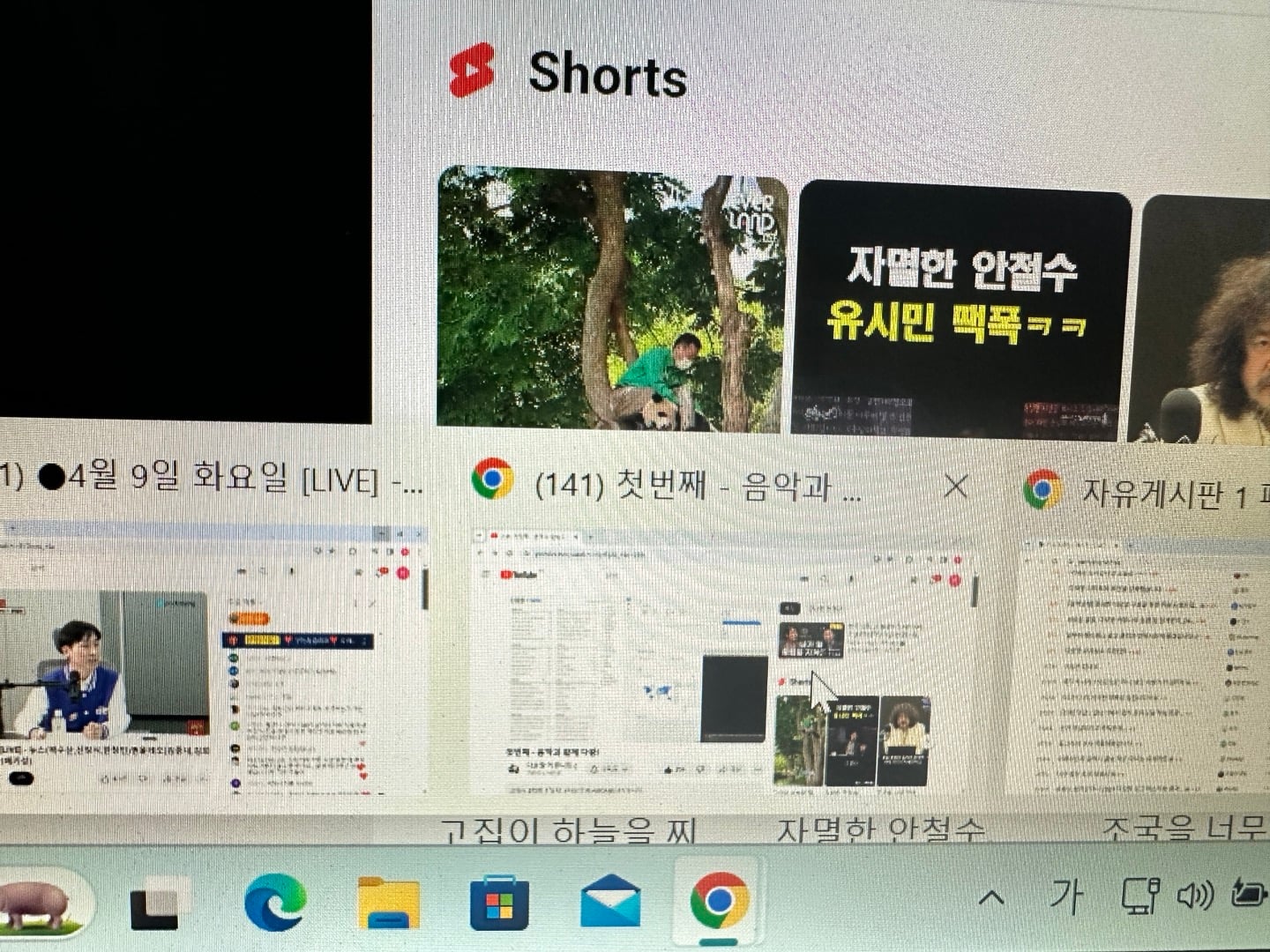 게시글 이미지