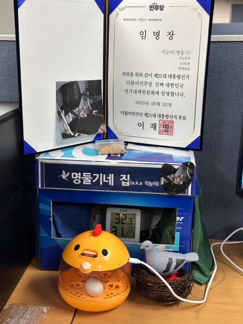 게시글 이미지