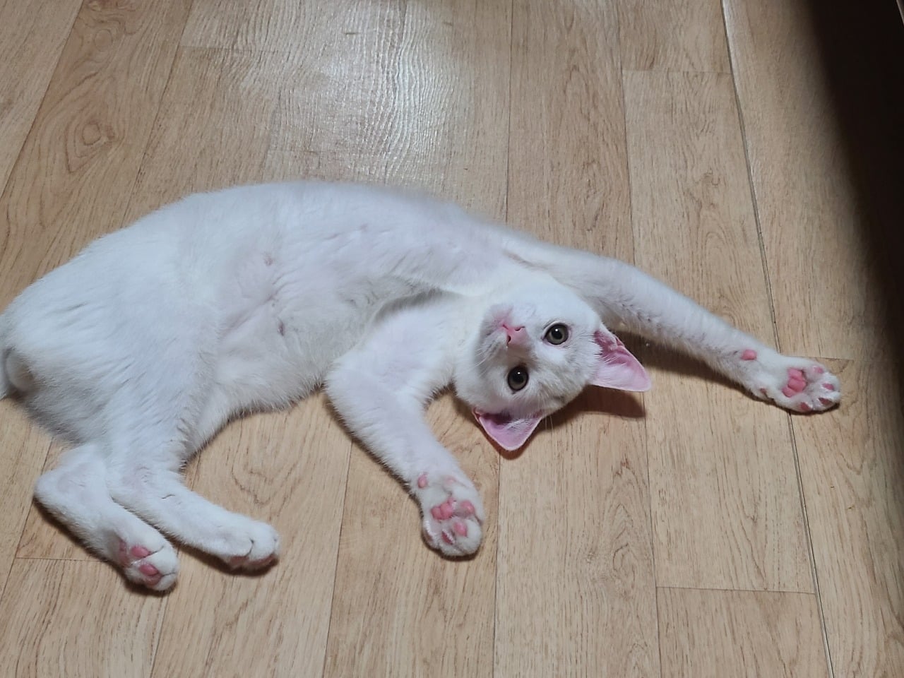 게시글 이미지